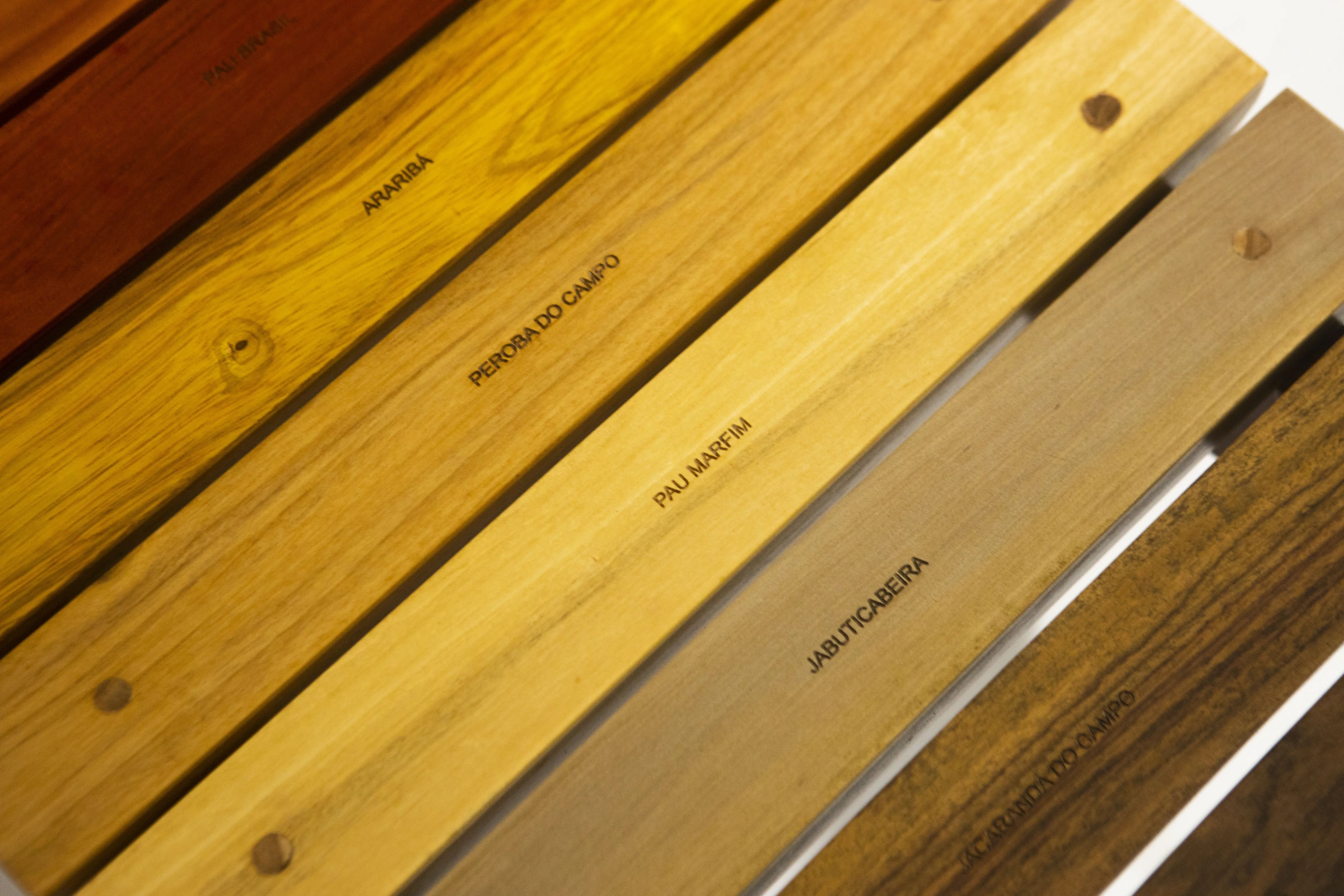 Serginho II bench, DJ Papagaio — photo 6