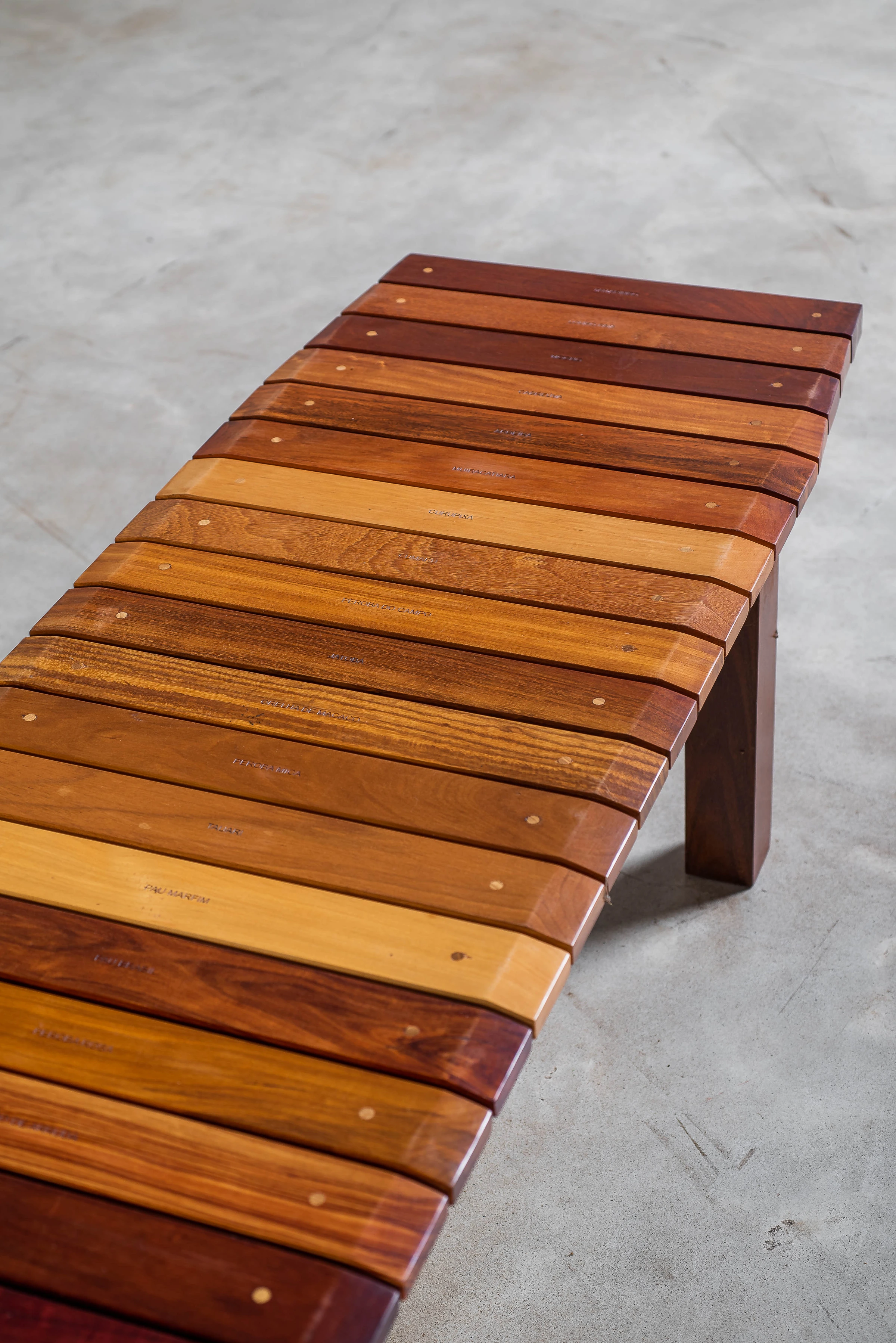 Serginho IV bench, DJ Papagaio — photo 3