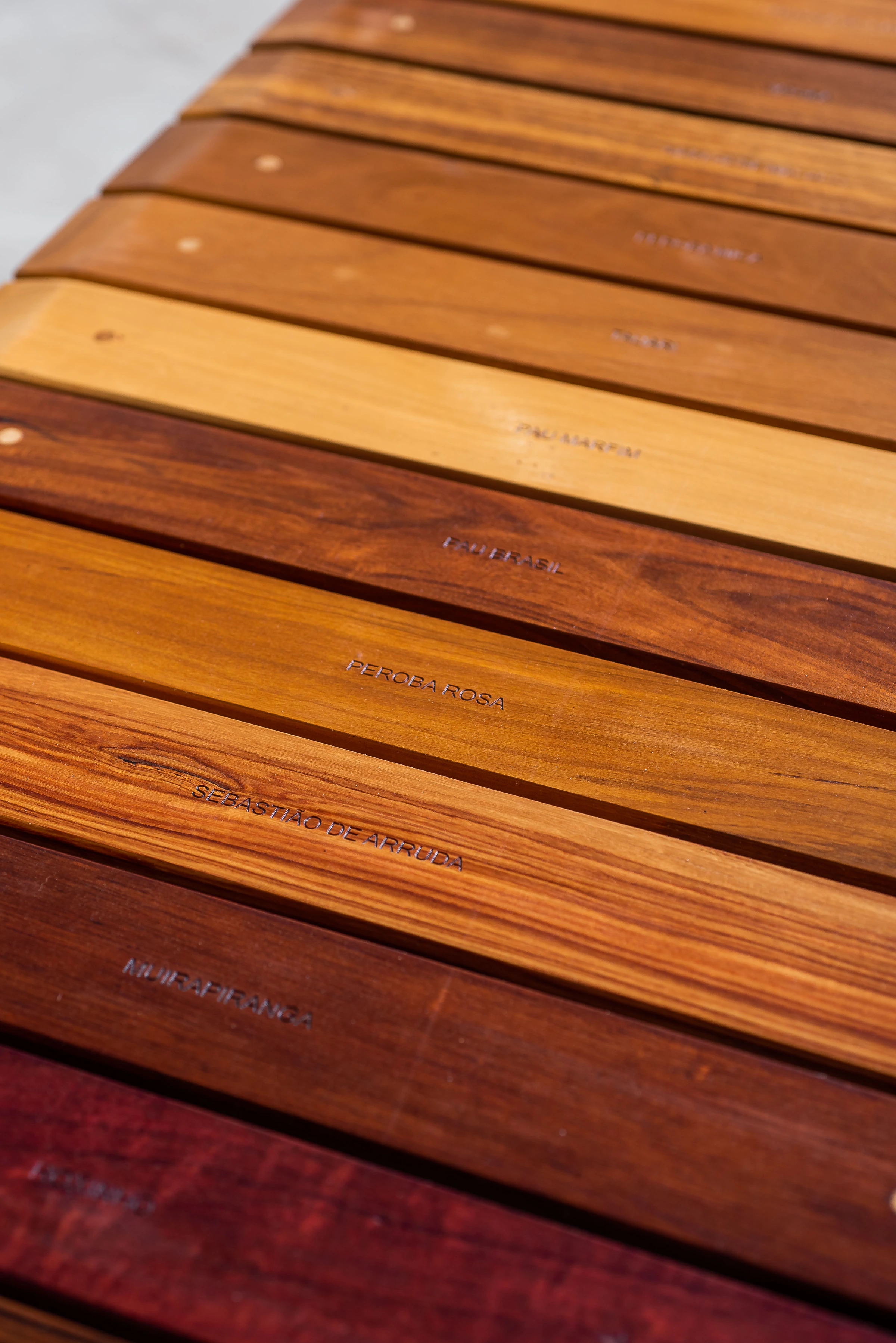 Serginho IV bench, DJ Papagaio — photo 6