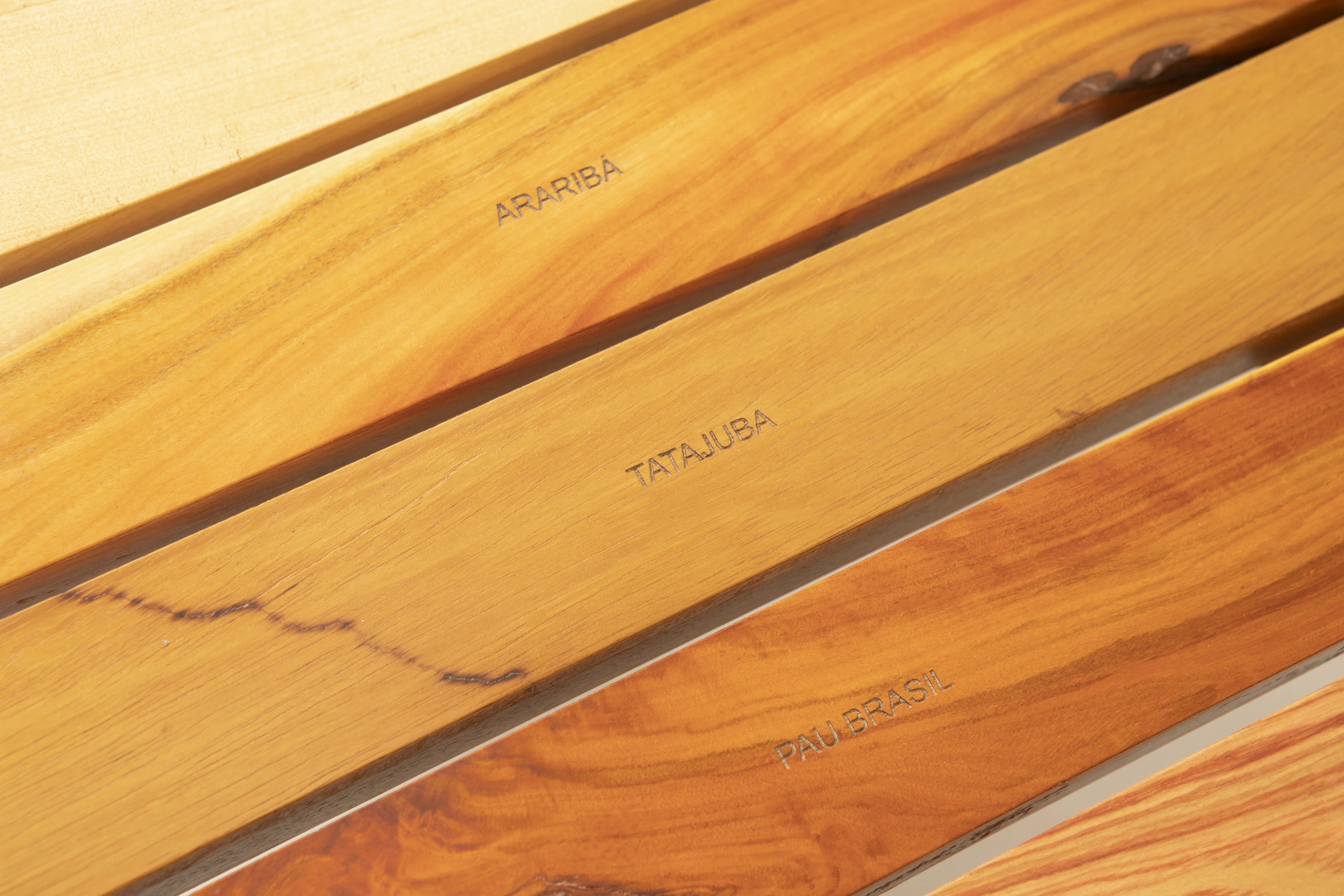 Xiloteca S-12 bench, DJ Papagaio — photo 9