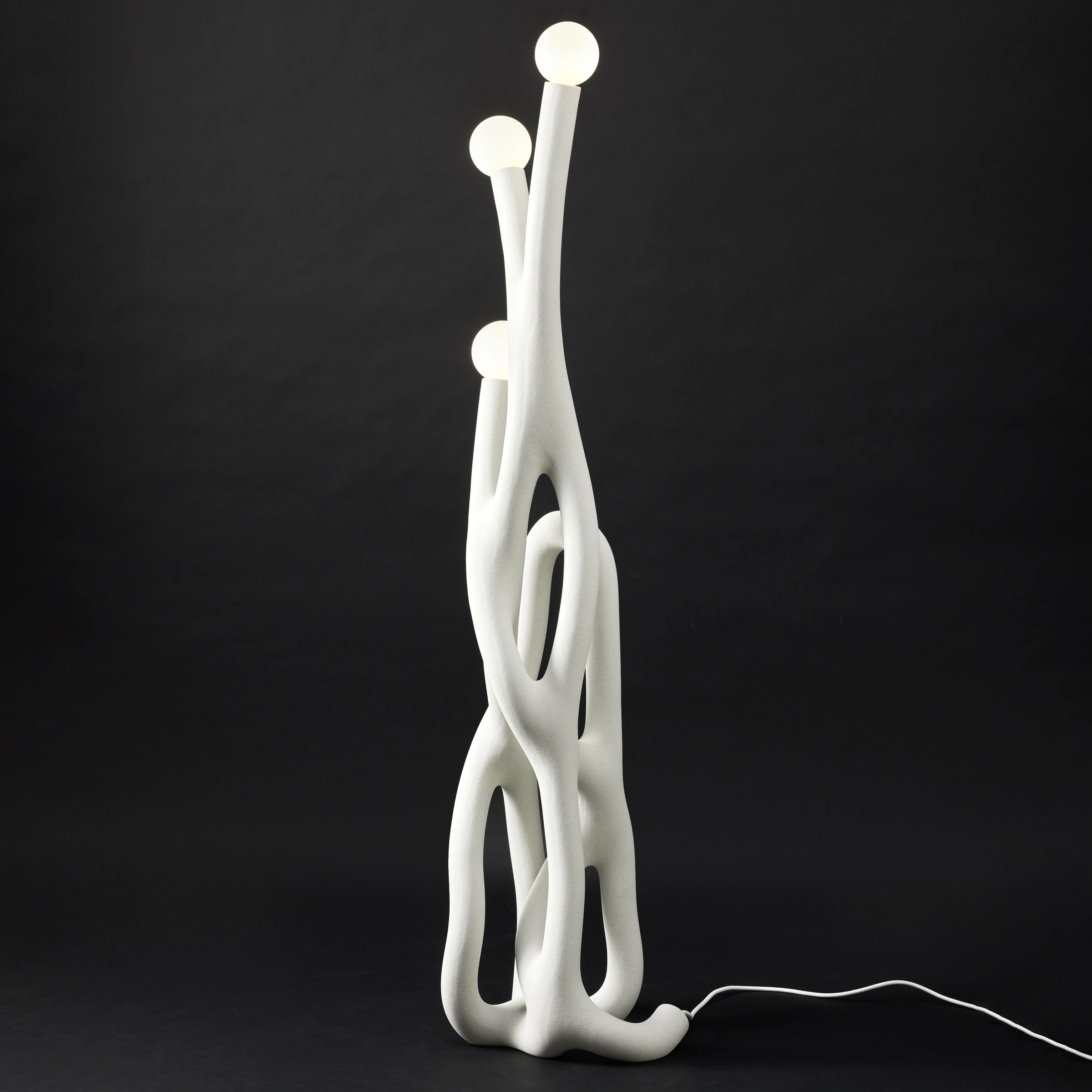 Coral 04, Fabio Hendry — photo 2