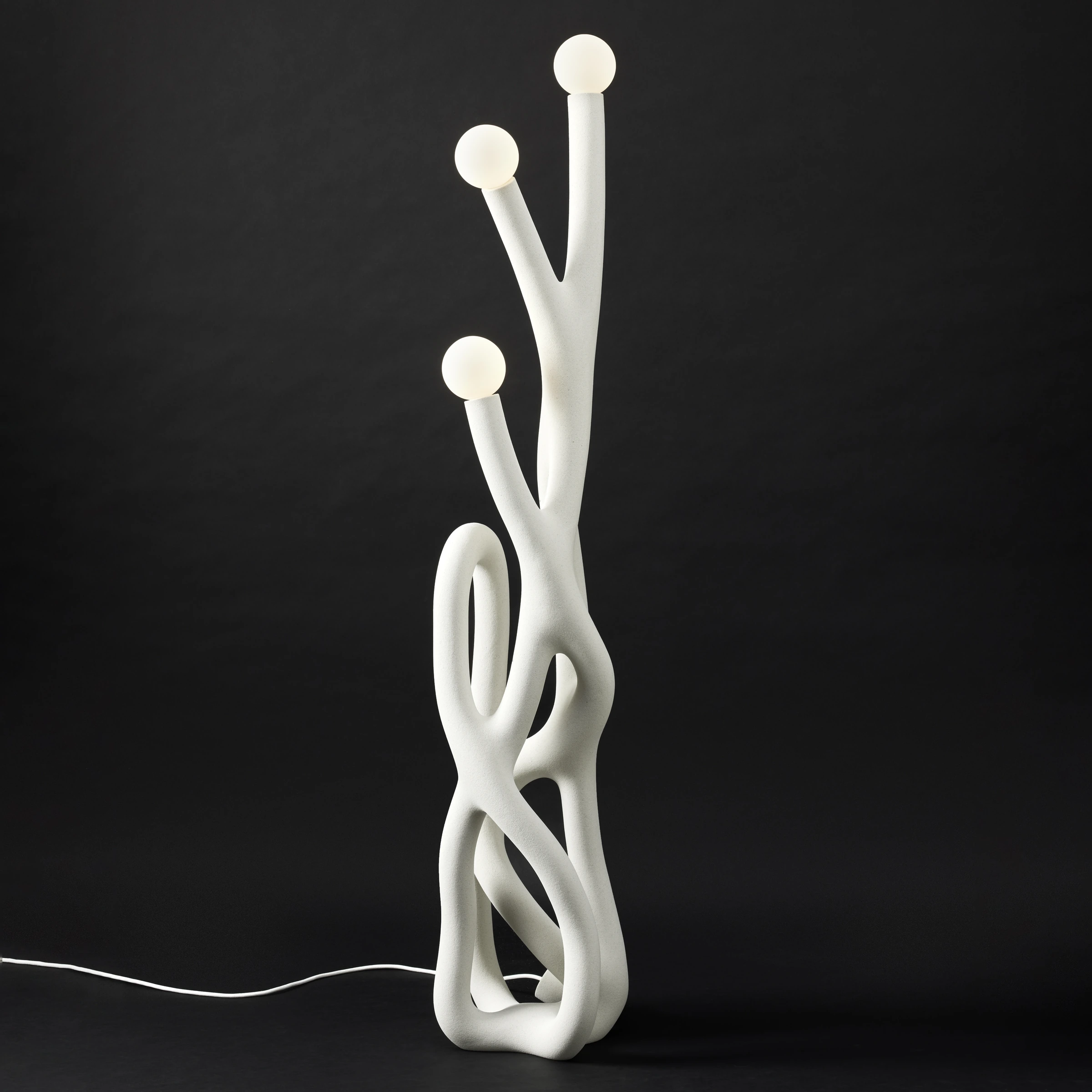 Coral 04, Fabio Hendry — photo 3