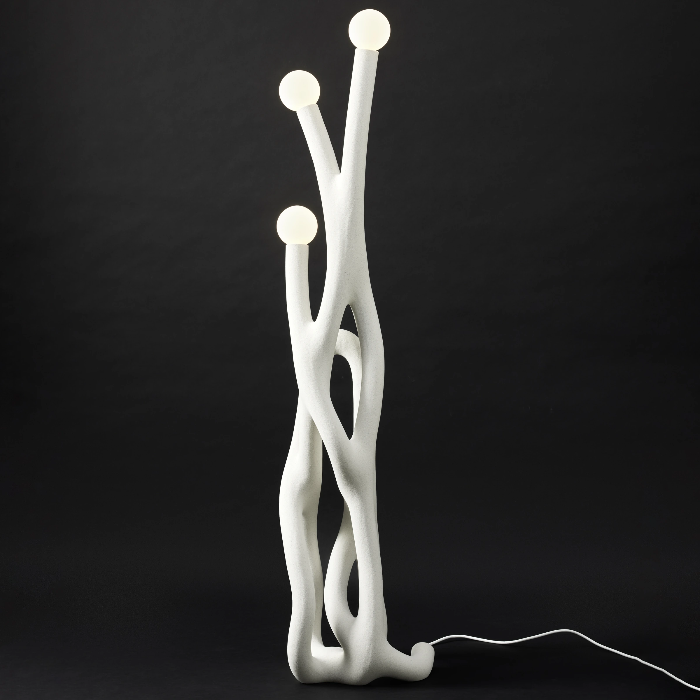 Coral 04, Fabio Hendry — photo 4