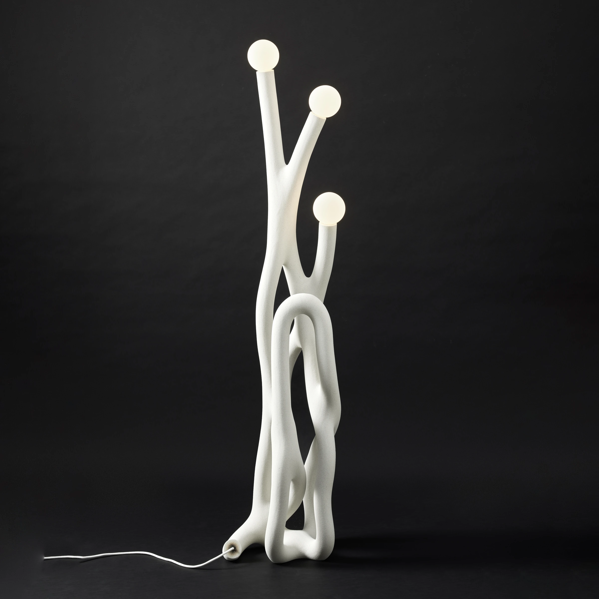 Coral 04, Fabio Hendry — photo 5