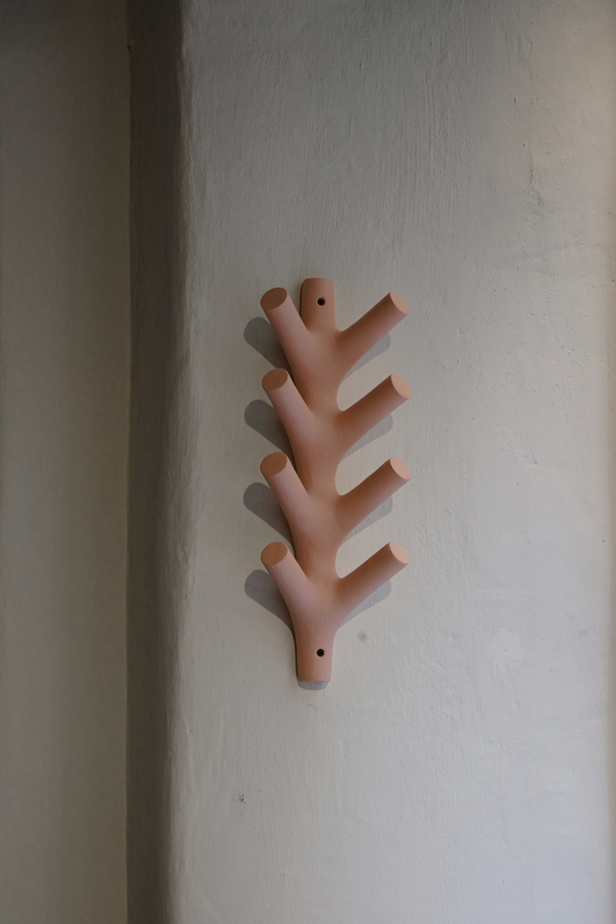 The Spine — Fabio Hendry