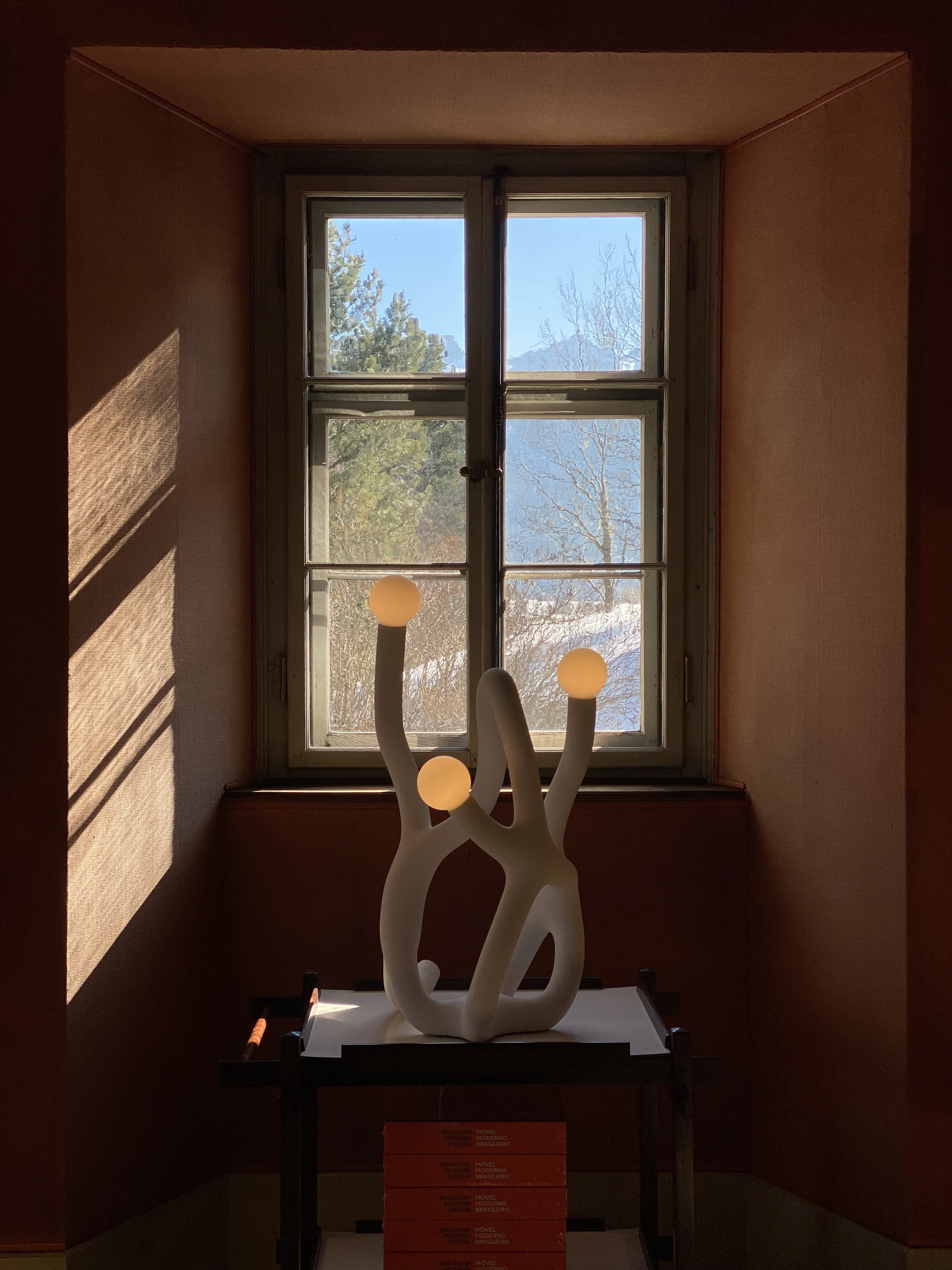 Winter Coral 01, Fabio Hendry — photo 2