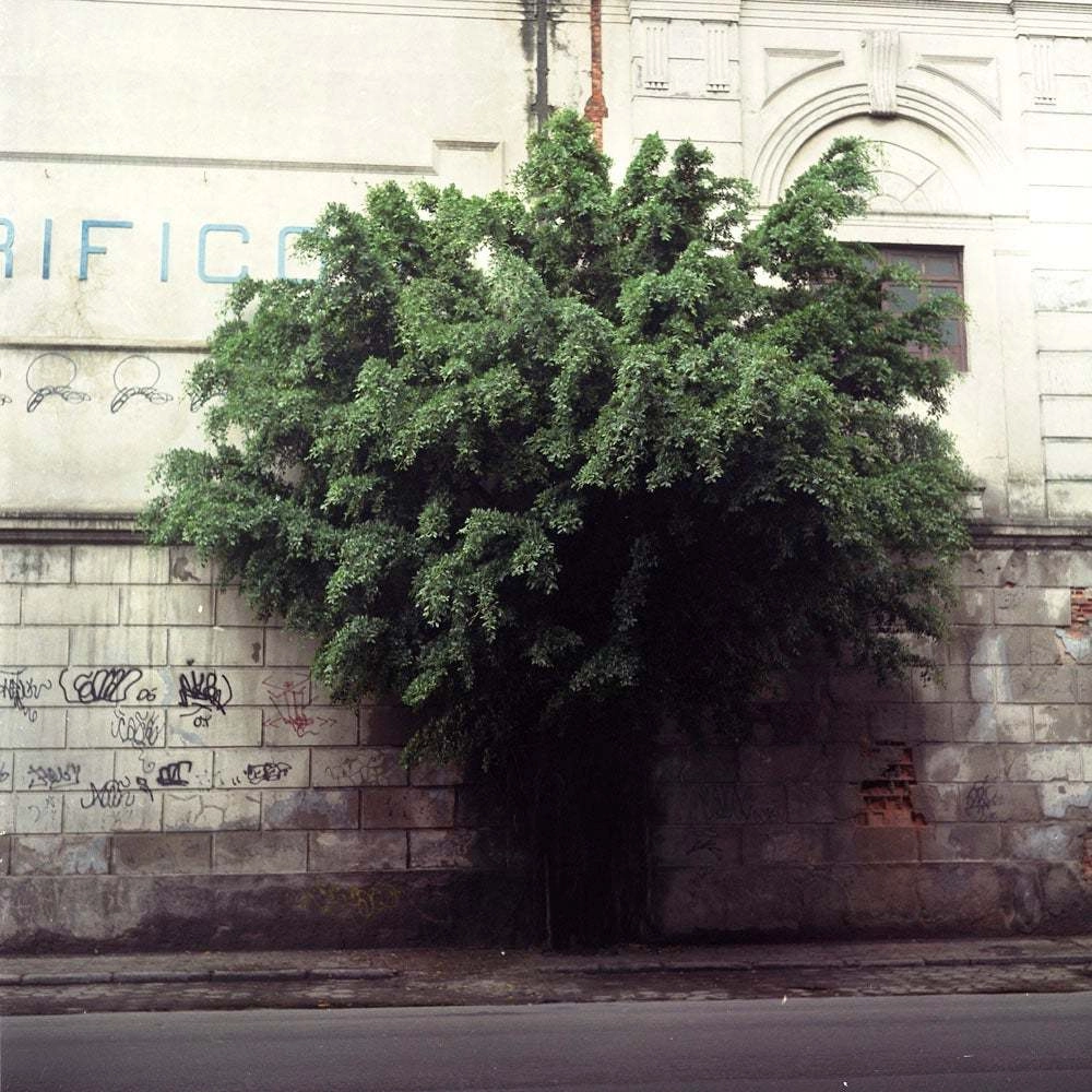 Contemporary photography from the "Archeology of Future Ruins" series — Felipe Varanda