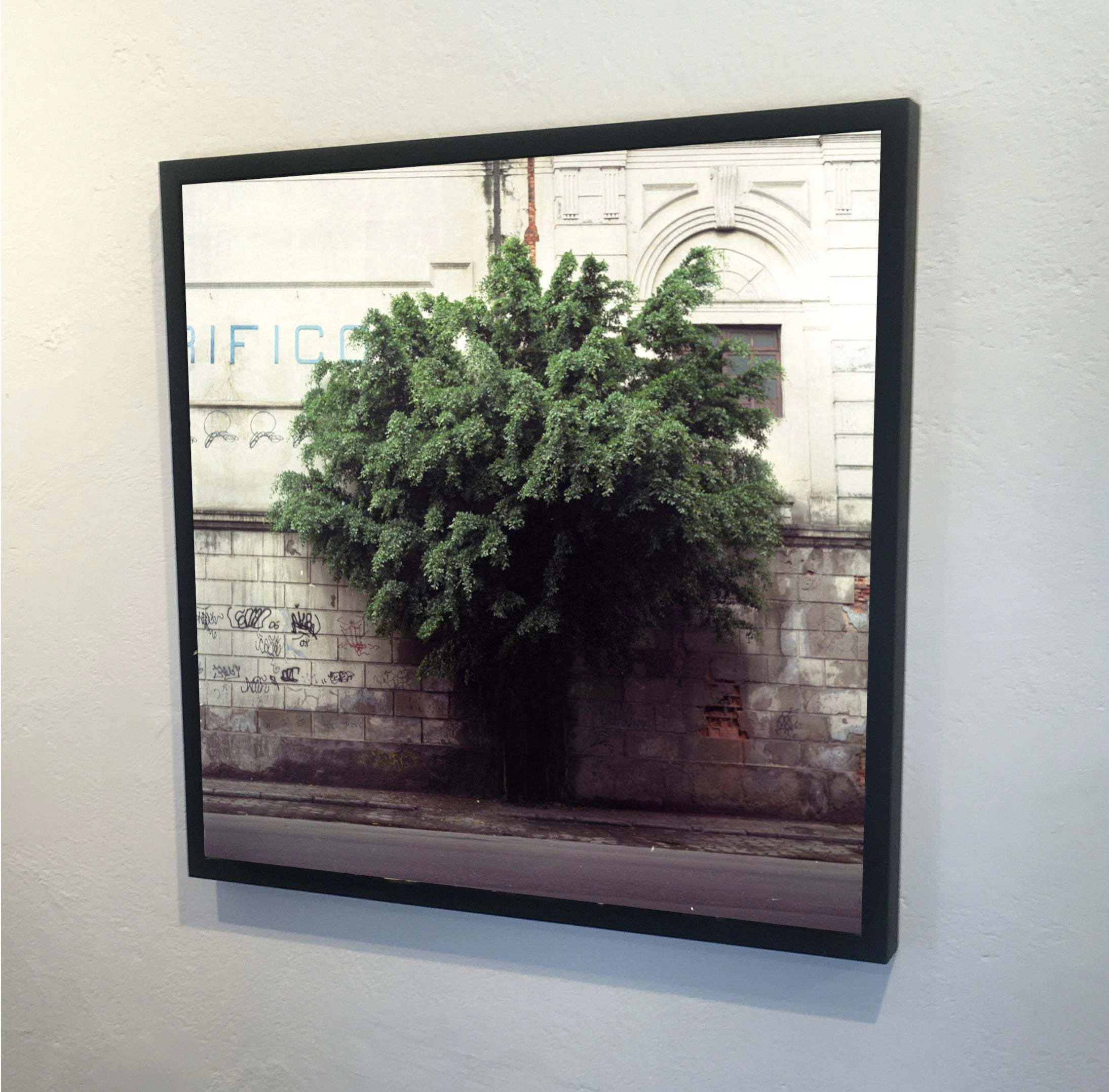 Contemporary photography from the "Archeology of Future Ruins" series, Felipe Varanda — photo 2