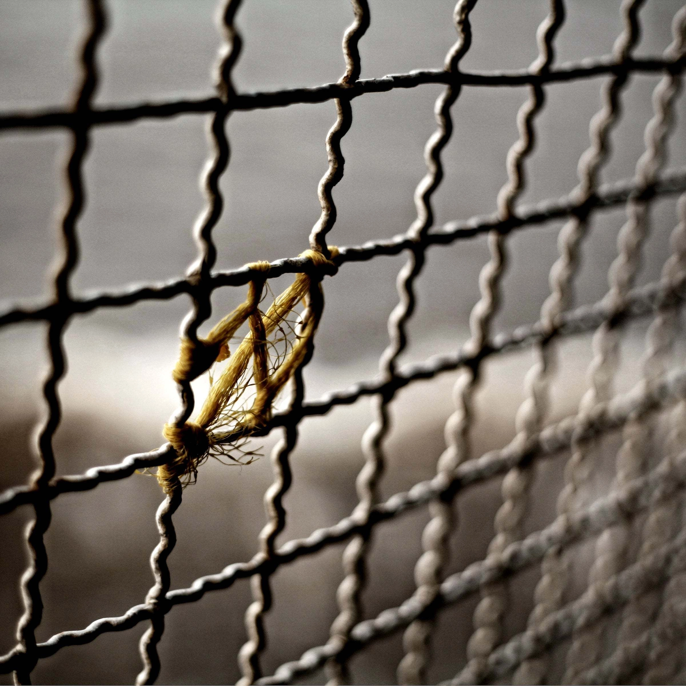 Contemporary untitled Photography from the "Amarrações" (Mooring) Collection — Felipe Varanda