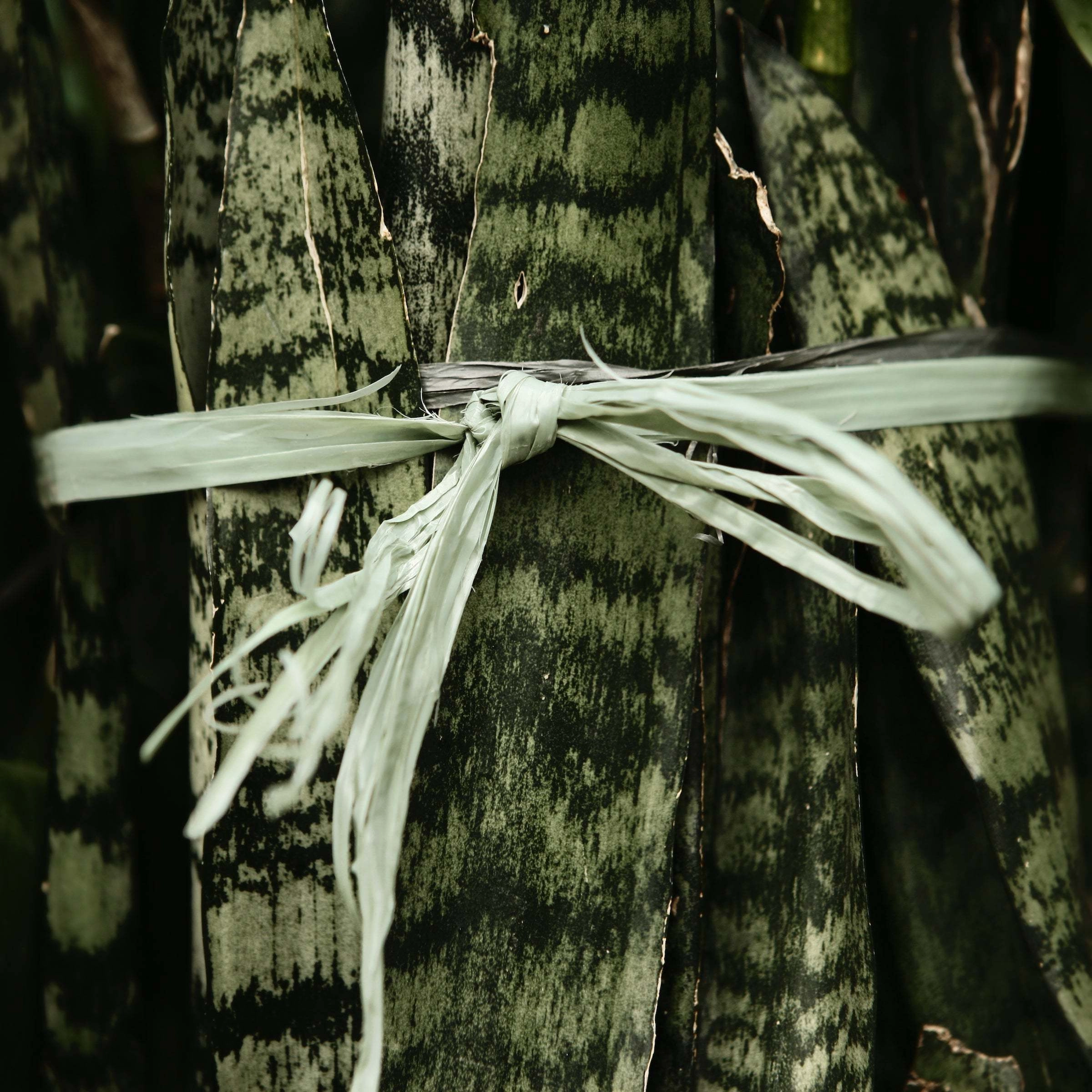 Photography from the "Amarração" (Mooring) collection — Felipe Varanda