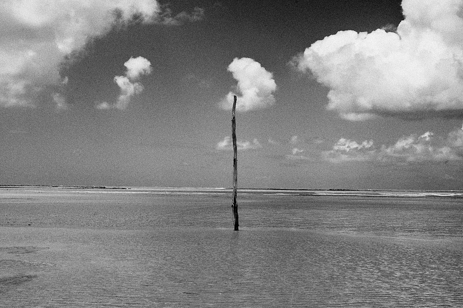 Photography "Toque 1" — Felipe Varanda