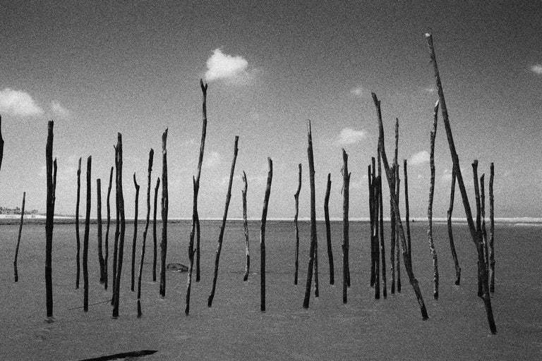Photography "Toque 2" — Felipe Varanda