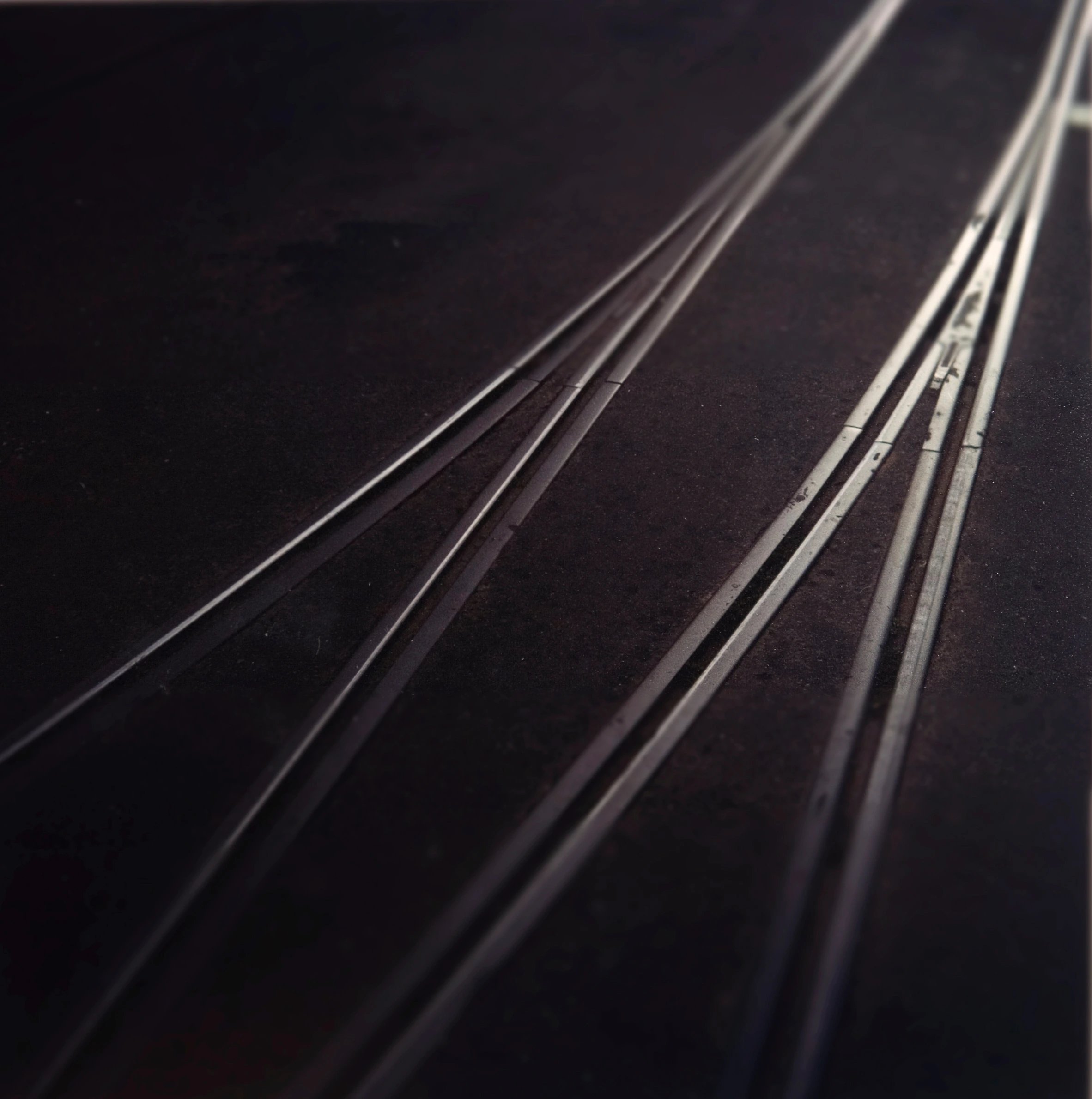 Photography "Trilhos 1" — Felipe Varanda