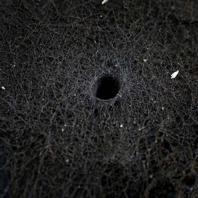 Photography "Universo" — Felipe Varanda