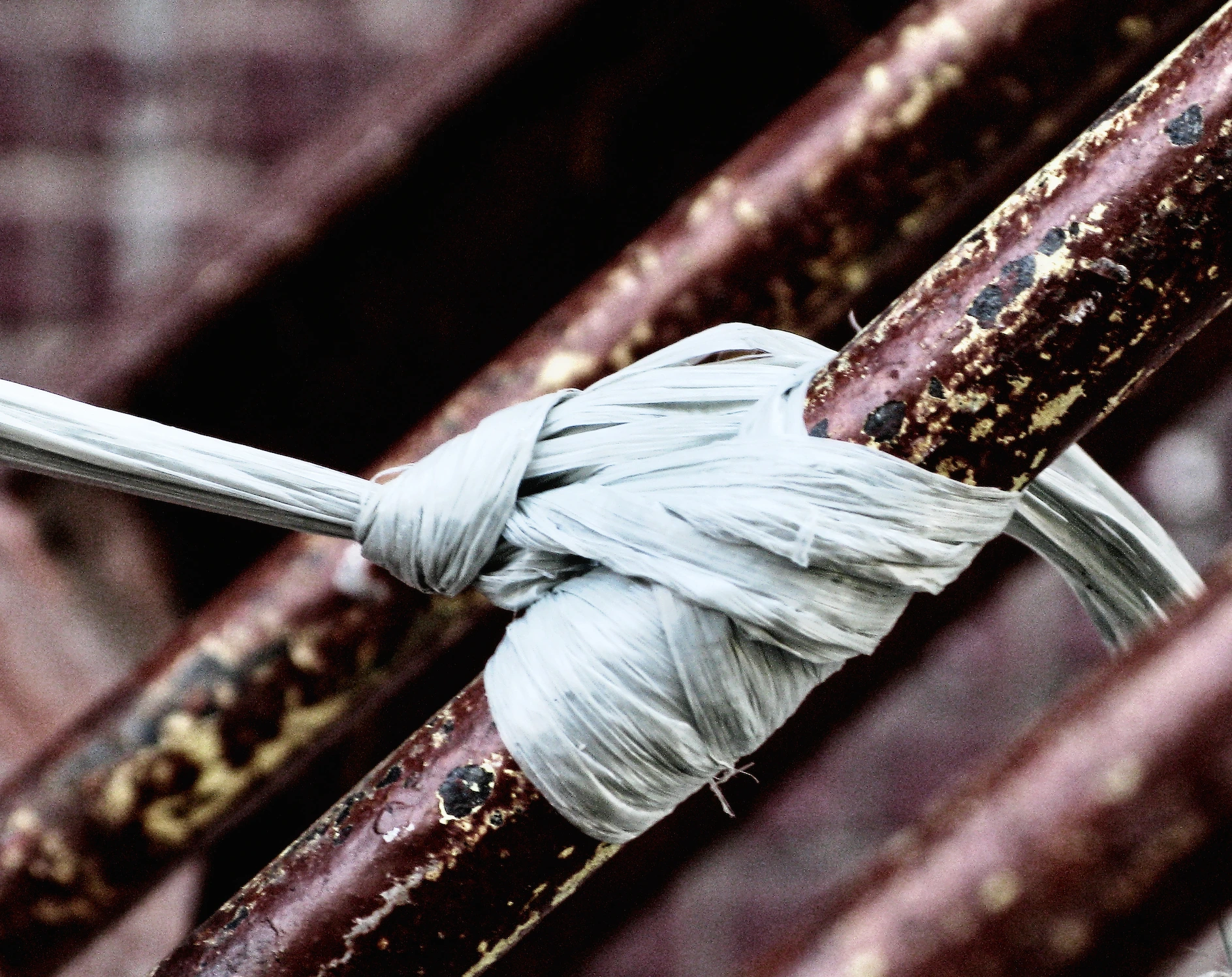 Triptych Photography — Felipe Varanda