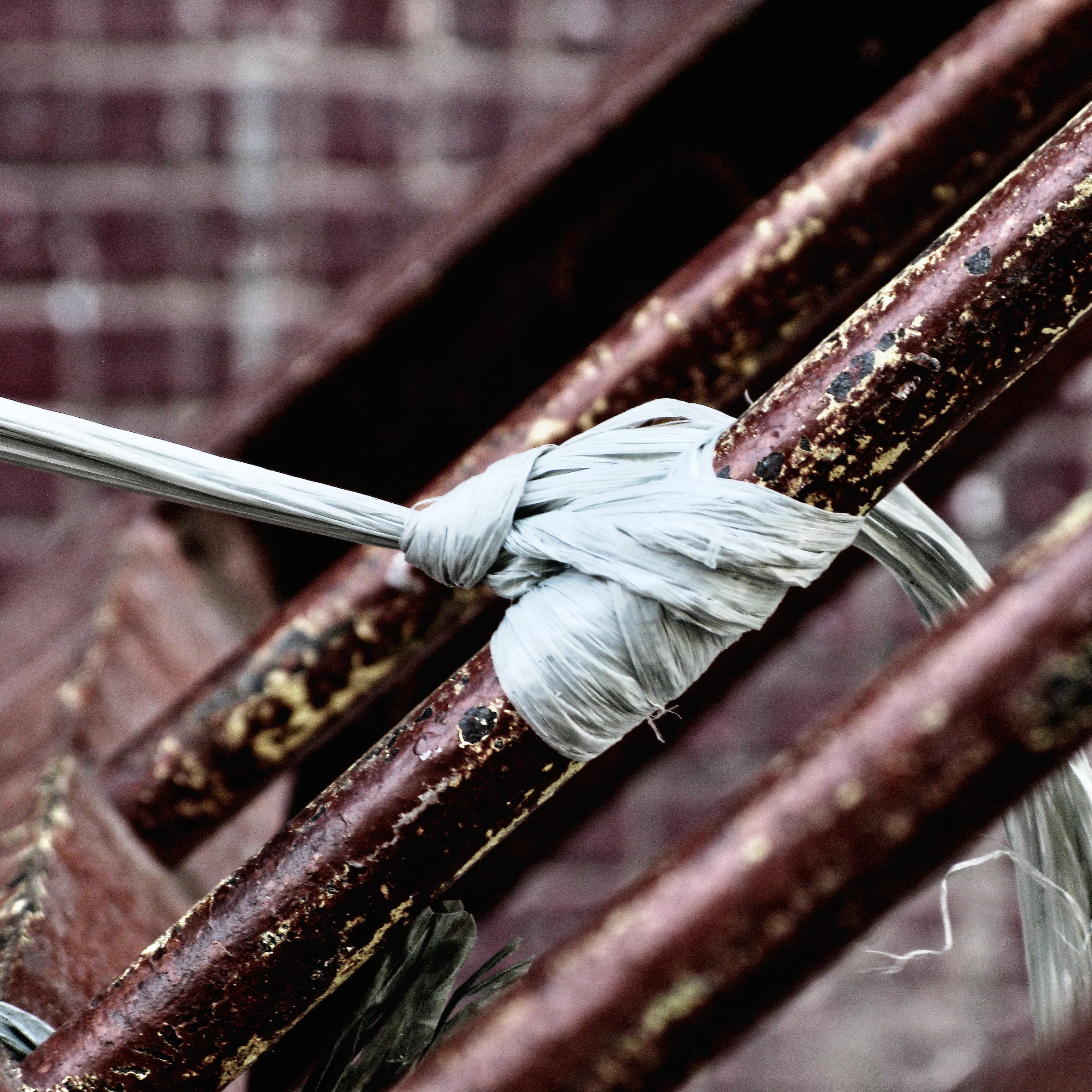 Triptych Photography, Felipe Varanda — photo 4