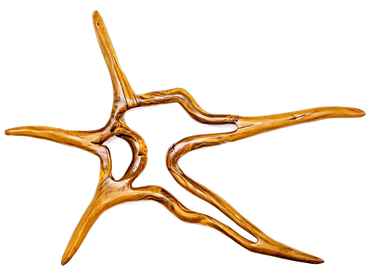 Apopora sculpture — Hugo França