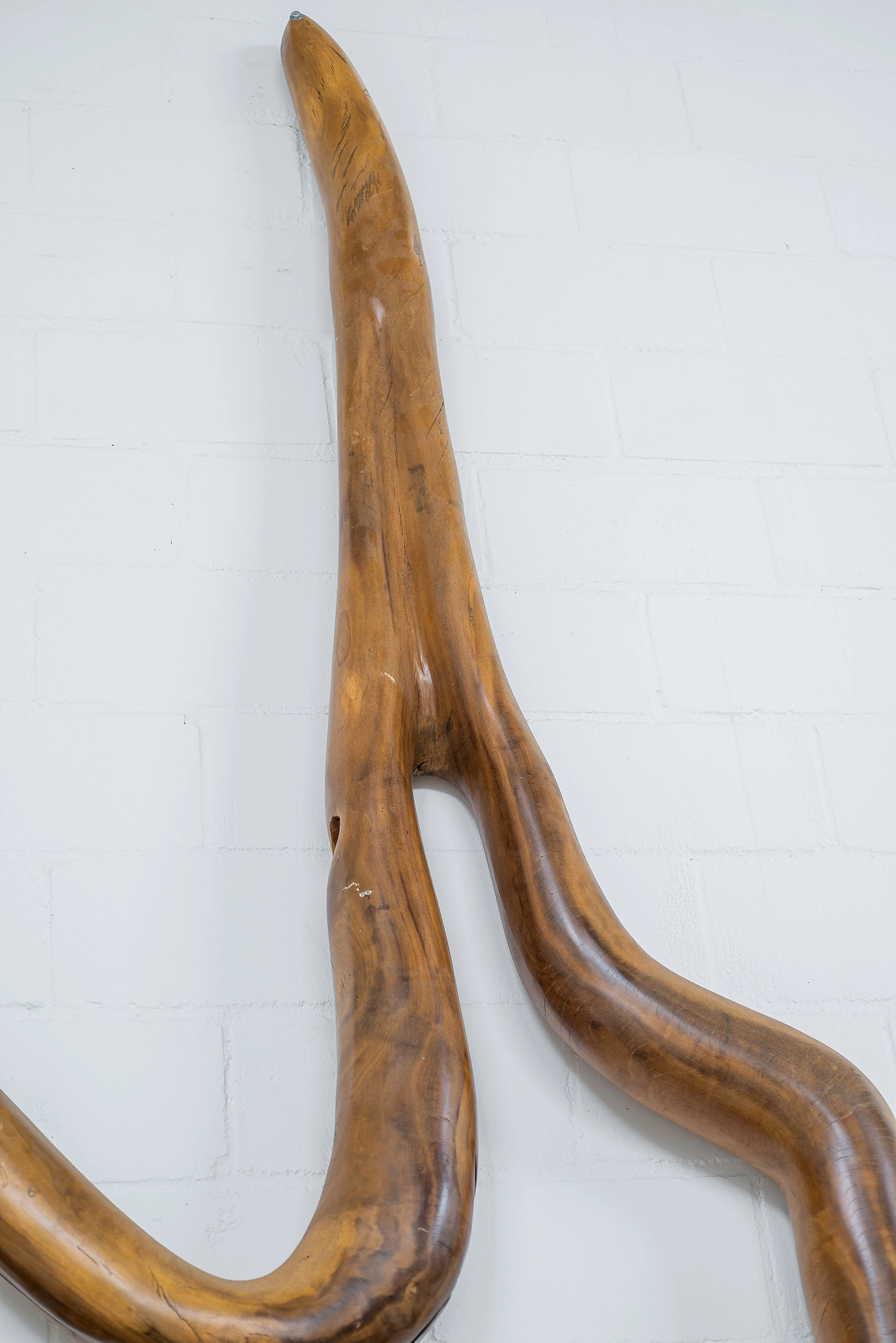 Apopora sculpture, Hugo França — photo 5