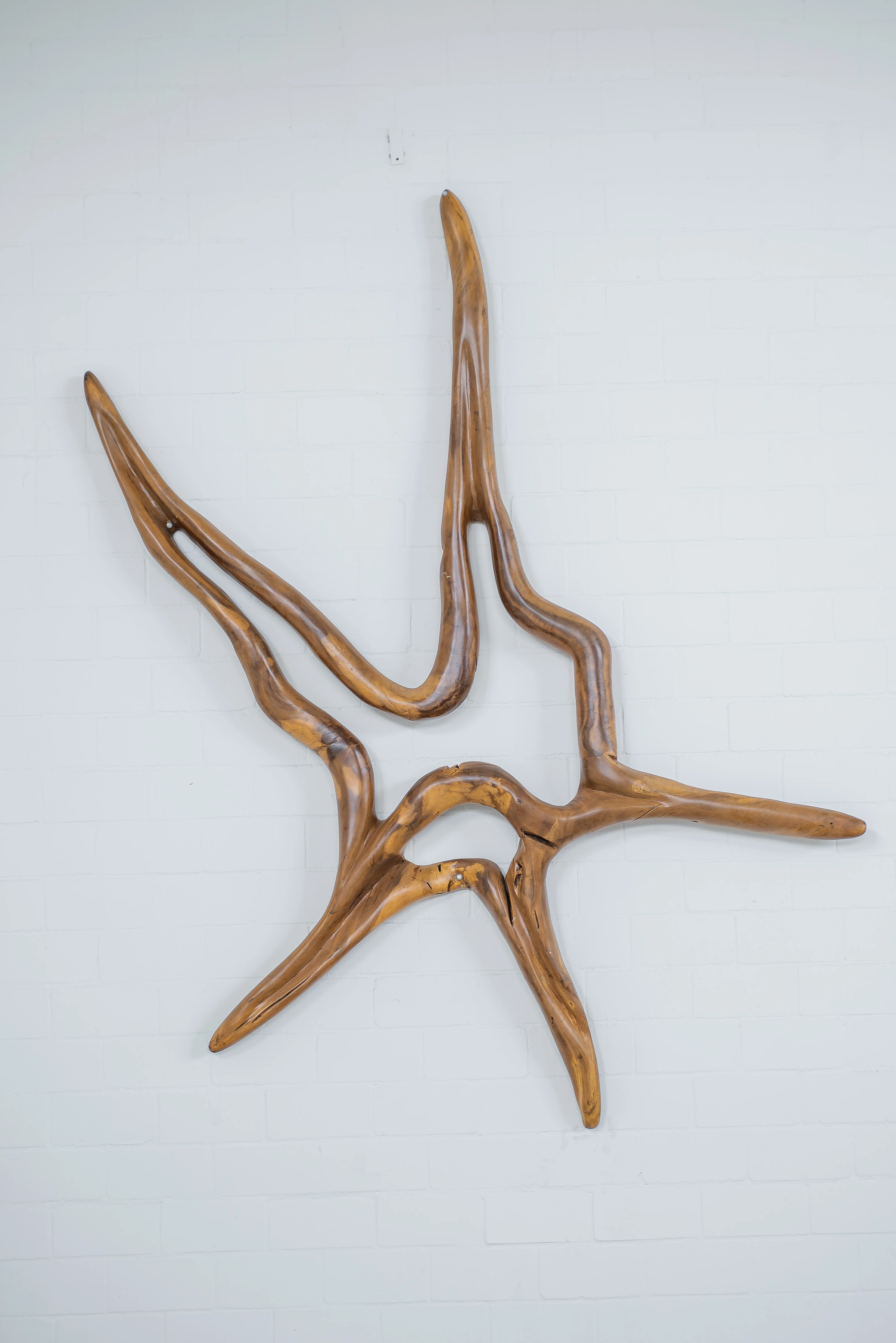 Apopora sculpture, Hugo França — photo 11