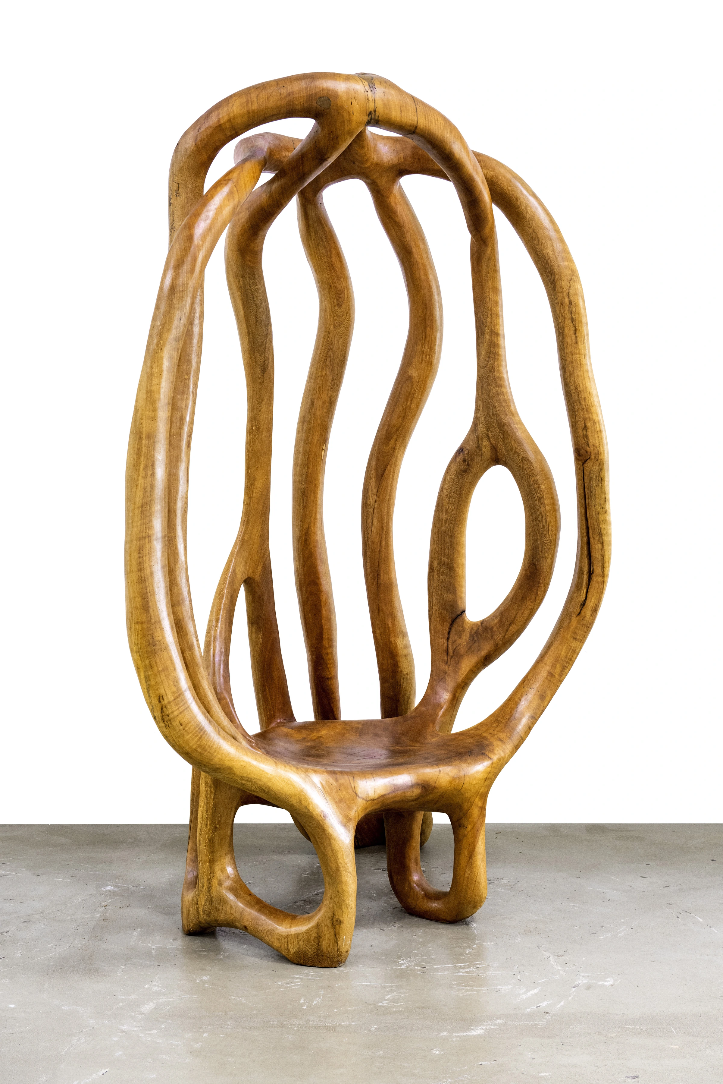 Ararapira sculpture — Hugo França