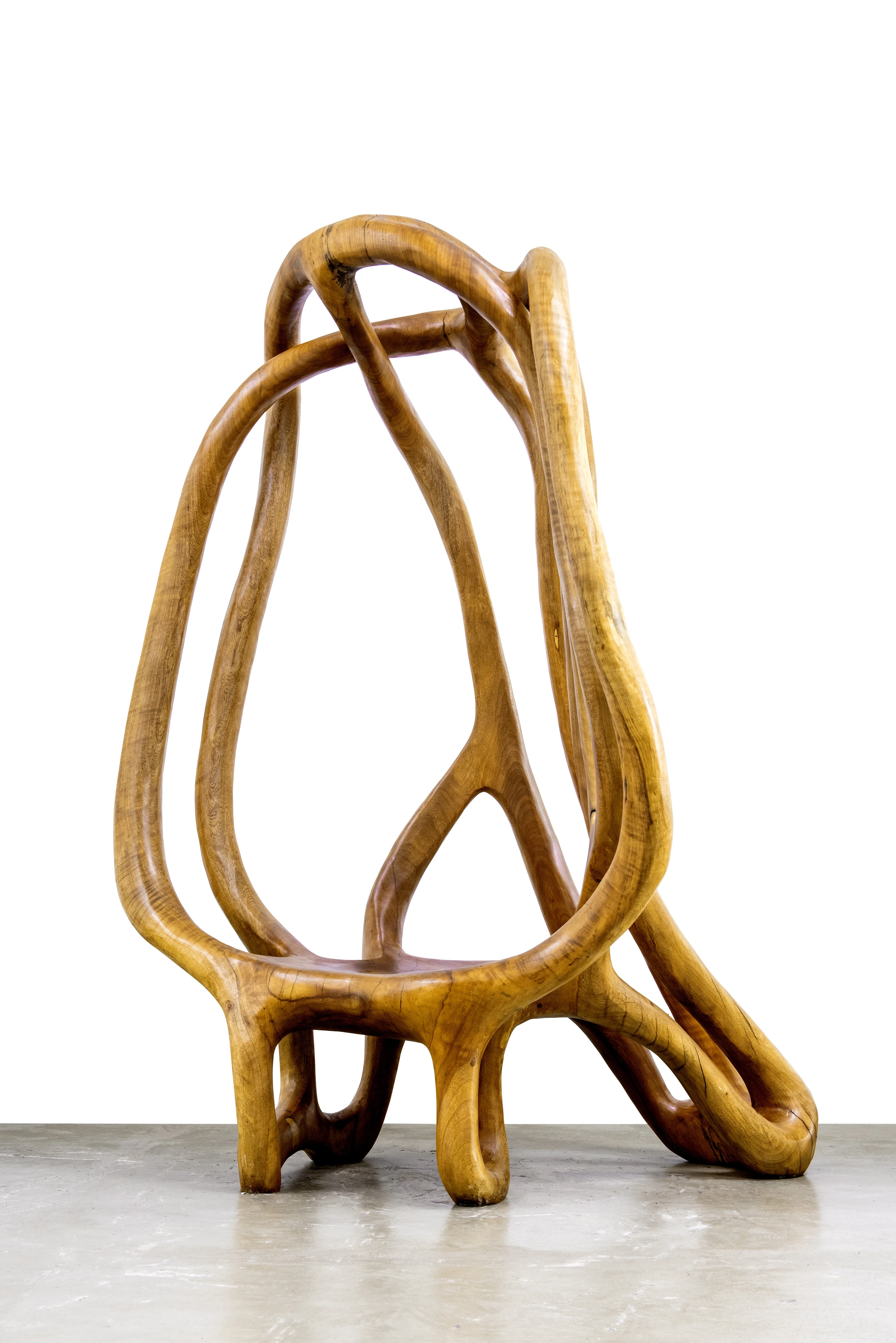 Ararapira sculpture, Hugo França — photo 2