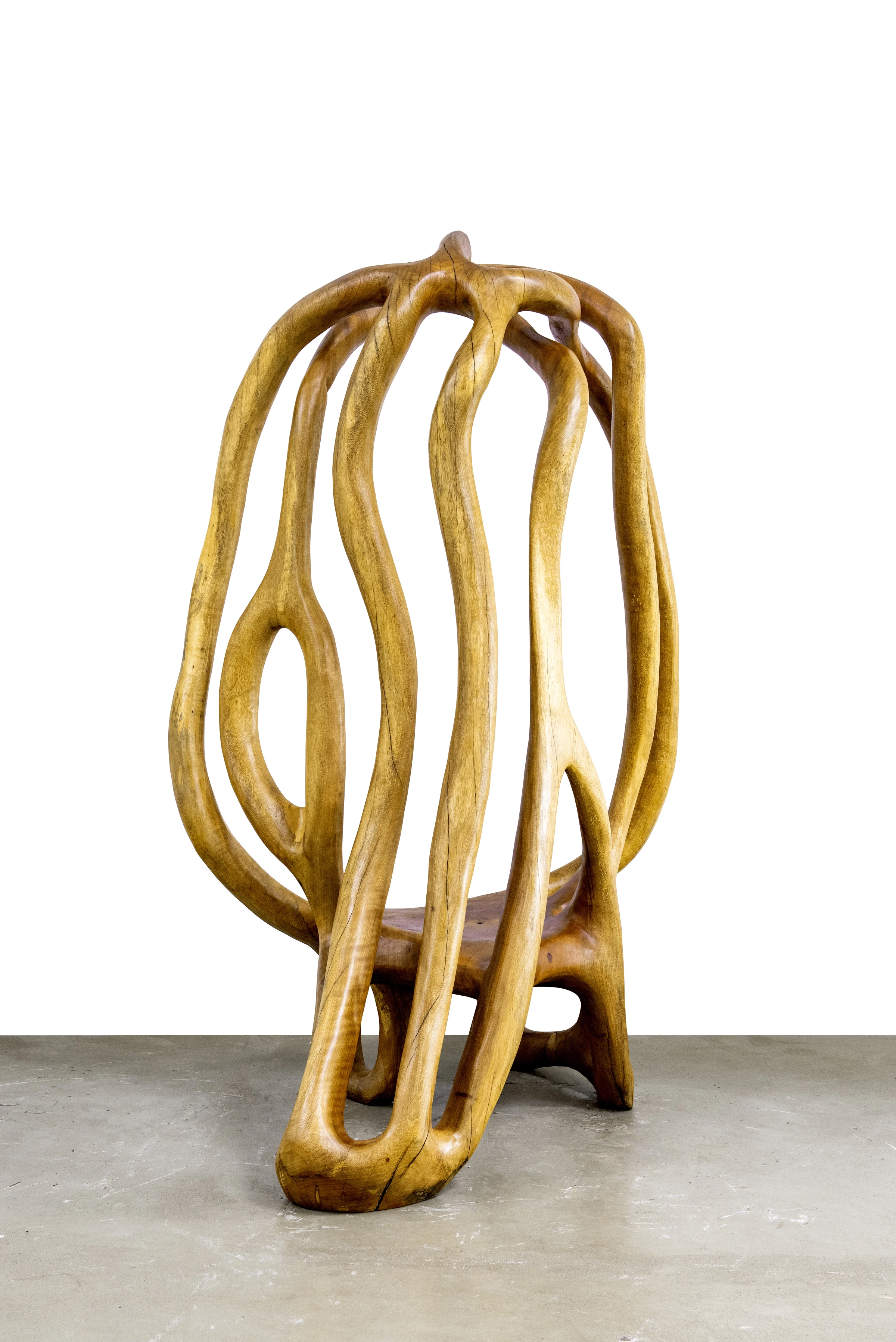 Ararapira sculpture, Hugo França — photo 3