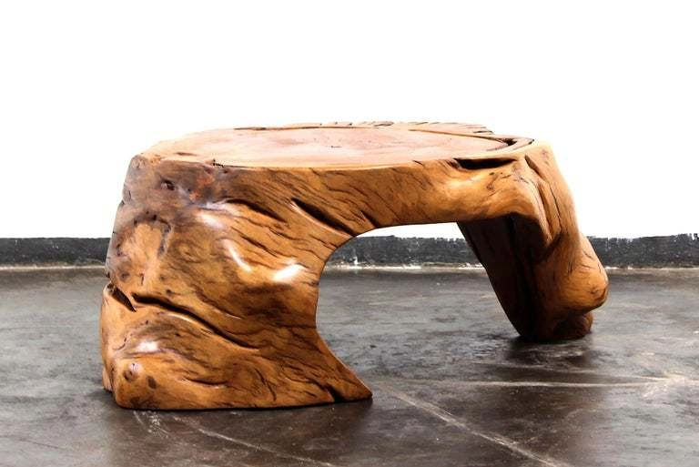 Guarás coffee table — Hugo França