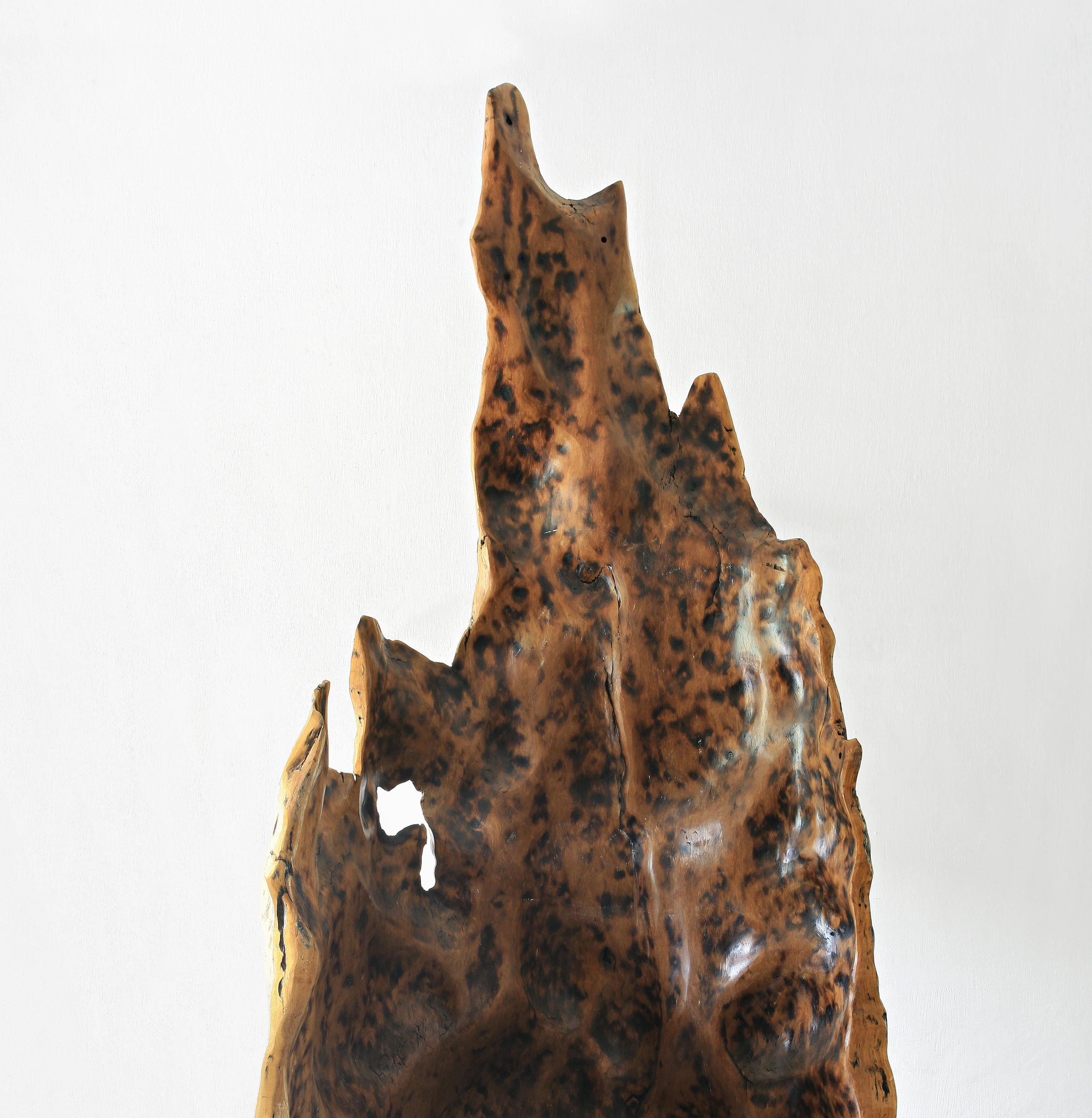 Janaína sculpture, Hugo França — photo 5