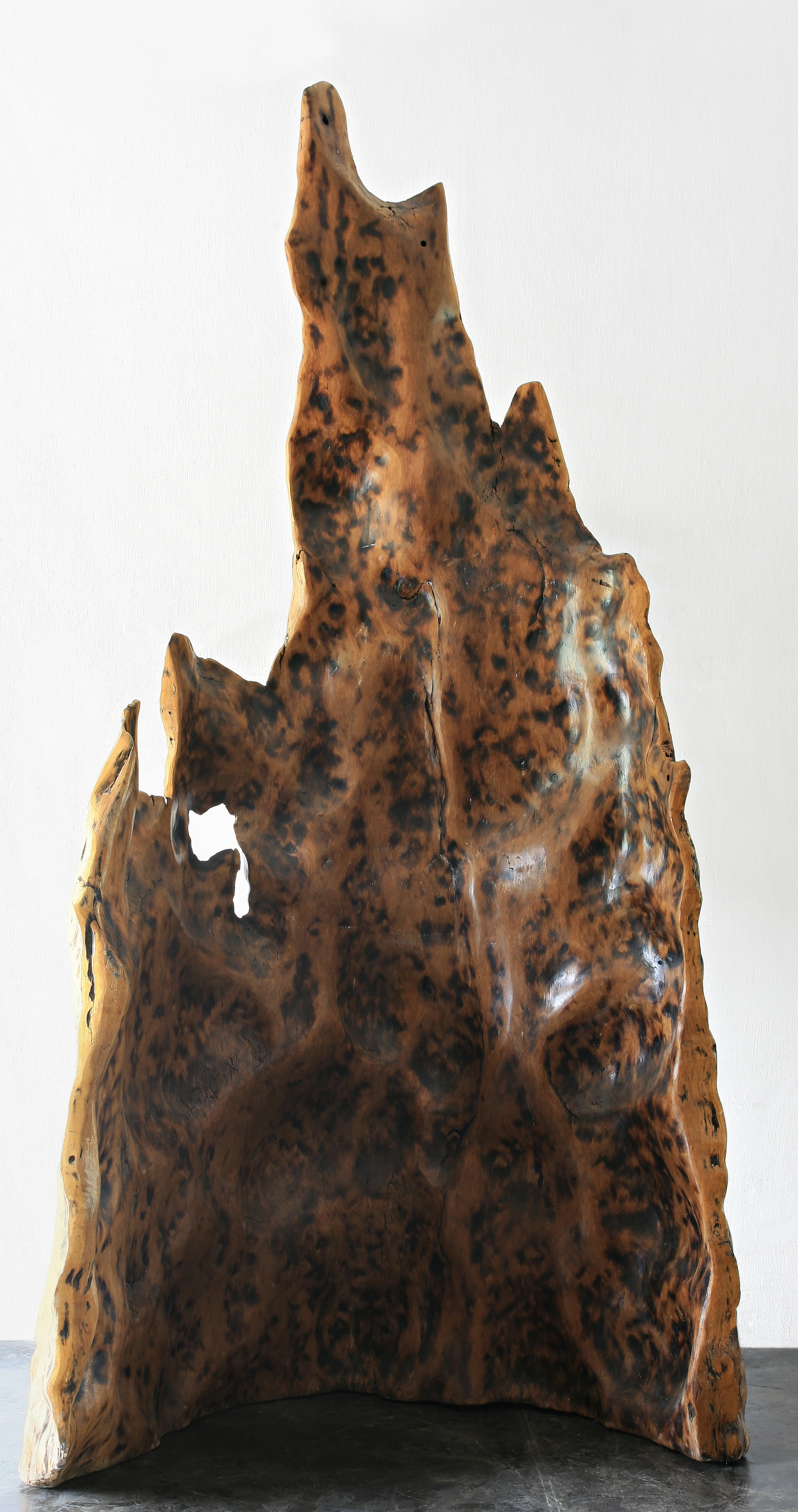 Janaína sculpture, Hugo França — photo 6