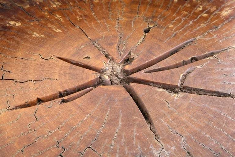 Tambor stool, Hugo França — photo 5