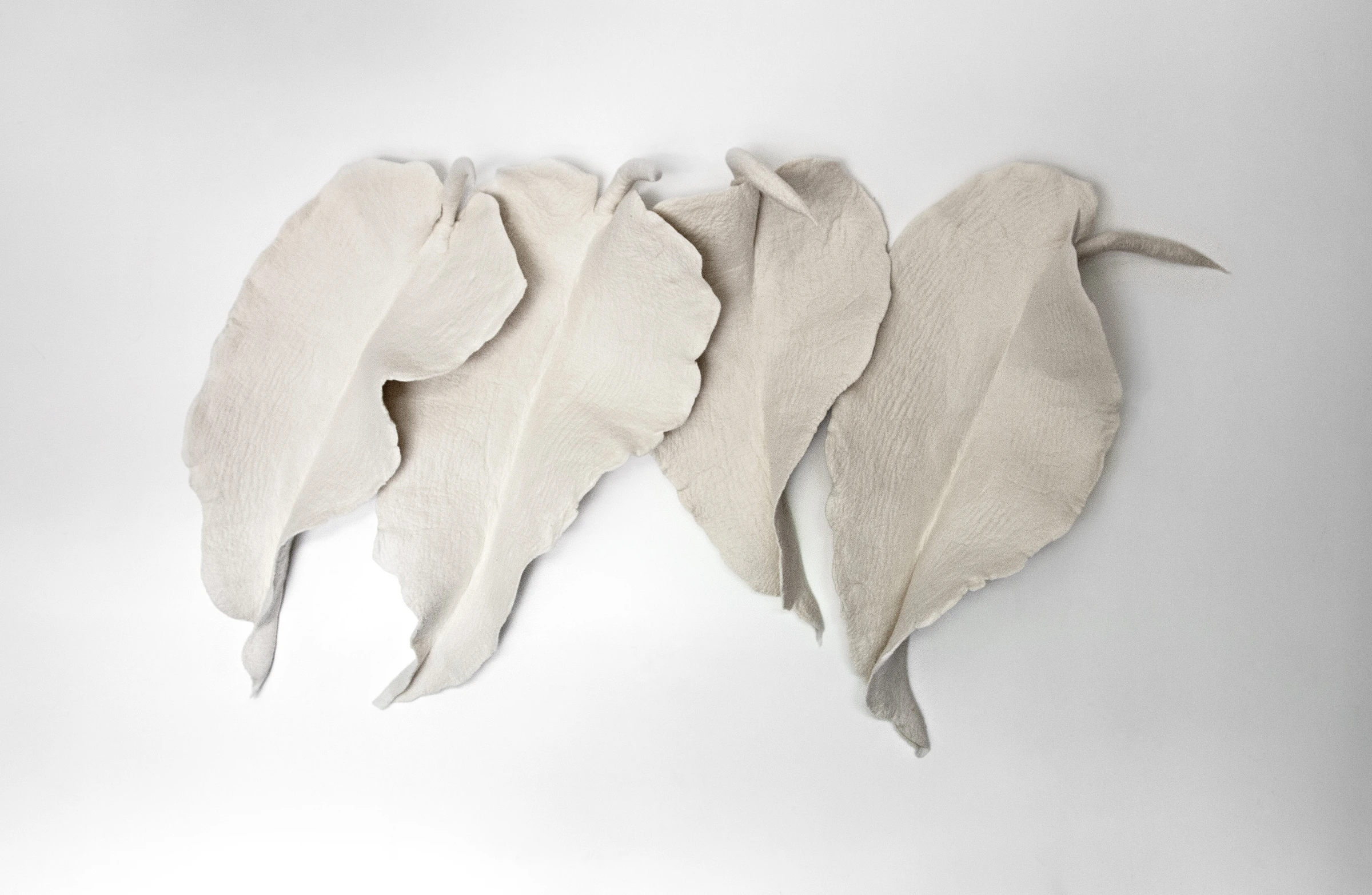 Leaves — Inês Schertel