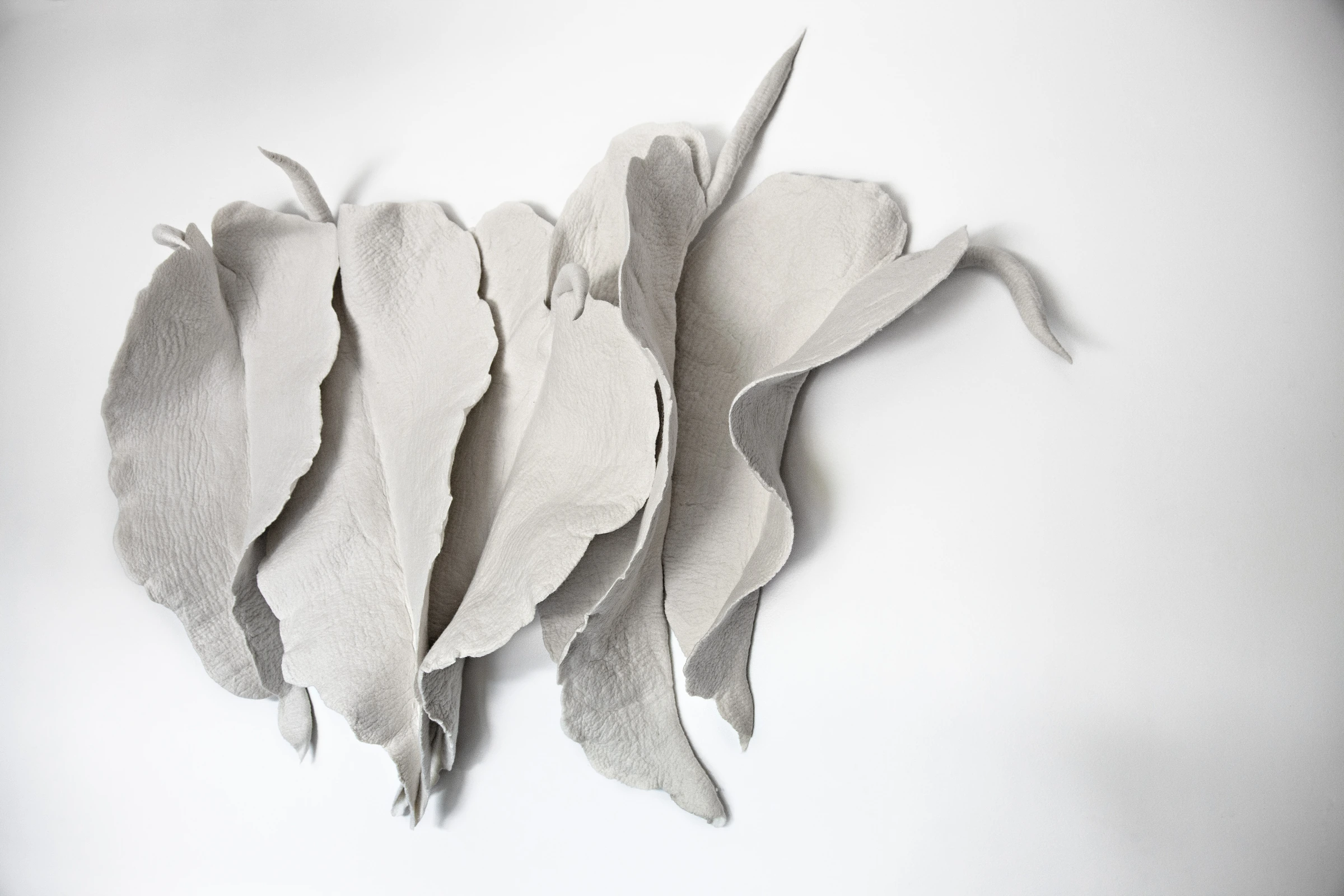 Leaves, Inês Schertel — photo 2