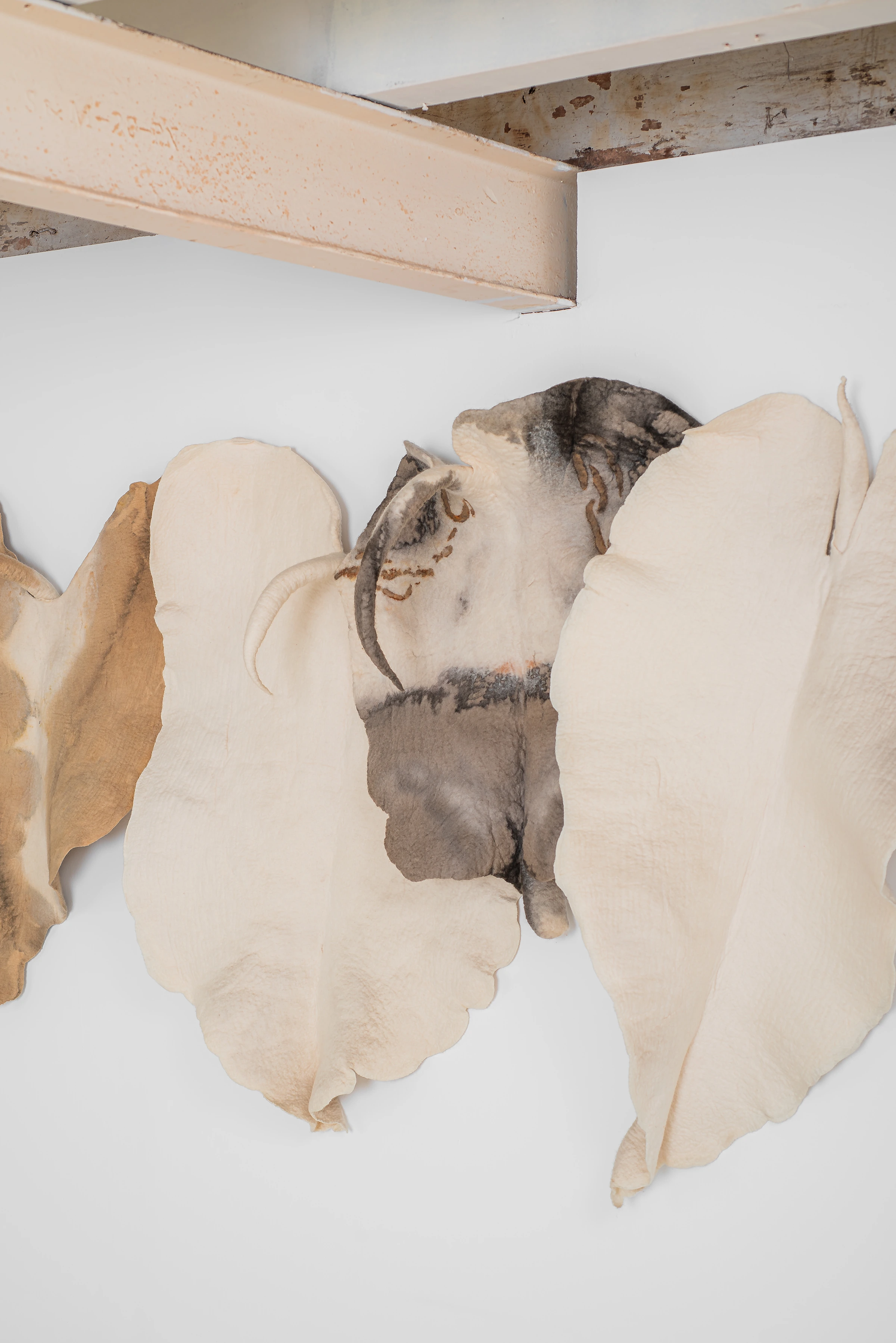 Wall leaves, Inês Schertel — photo 2