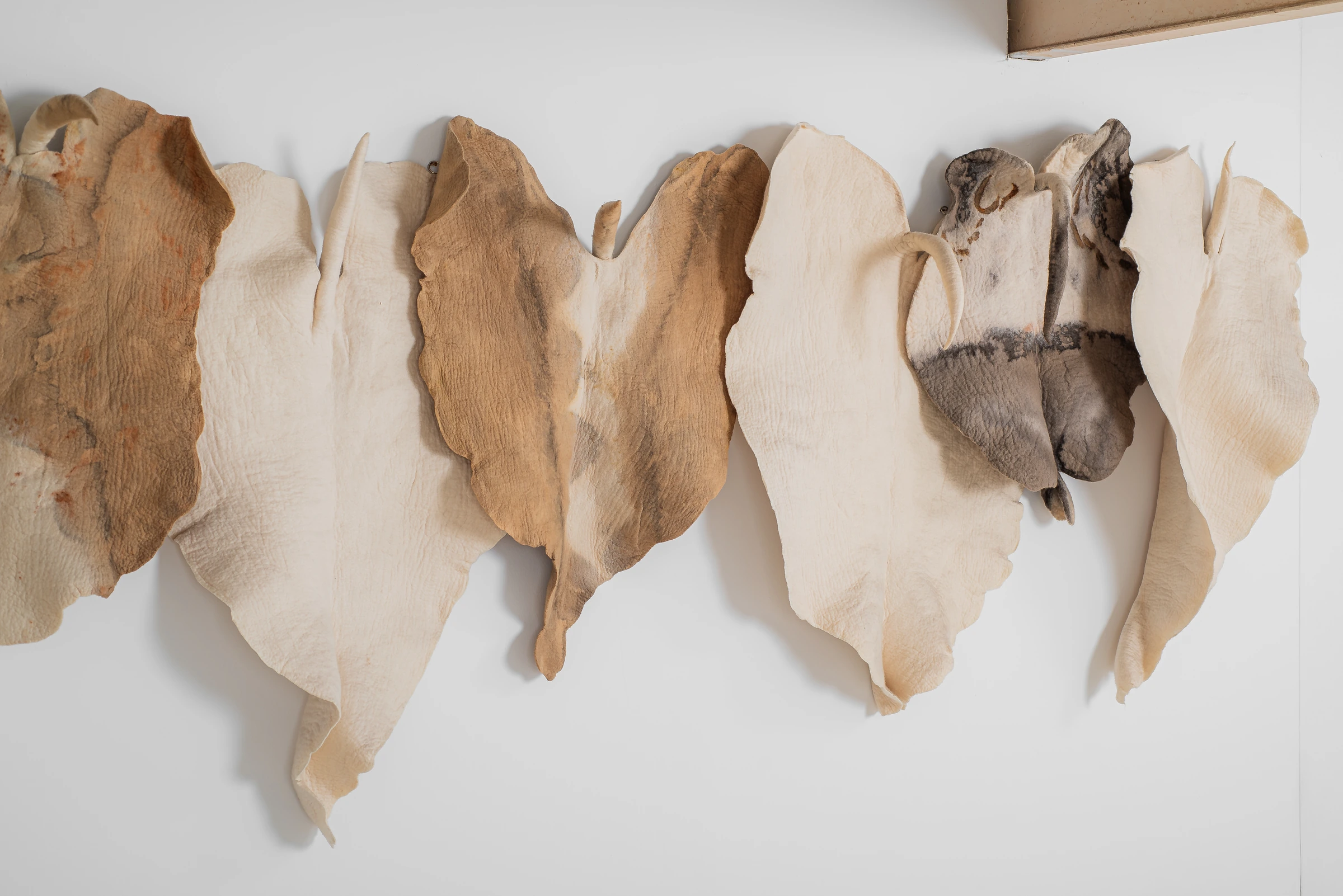 Wall leaves, Inês Schertel — photo 3