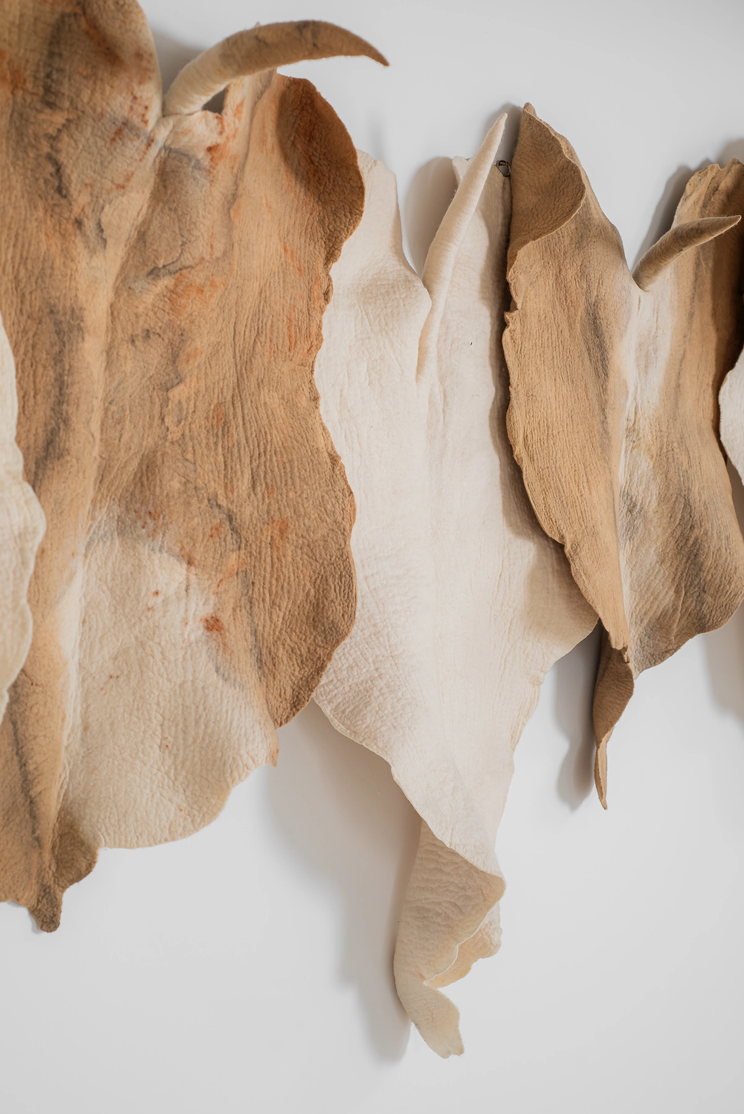 Wall leaves, Inês Schertel — photo 4