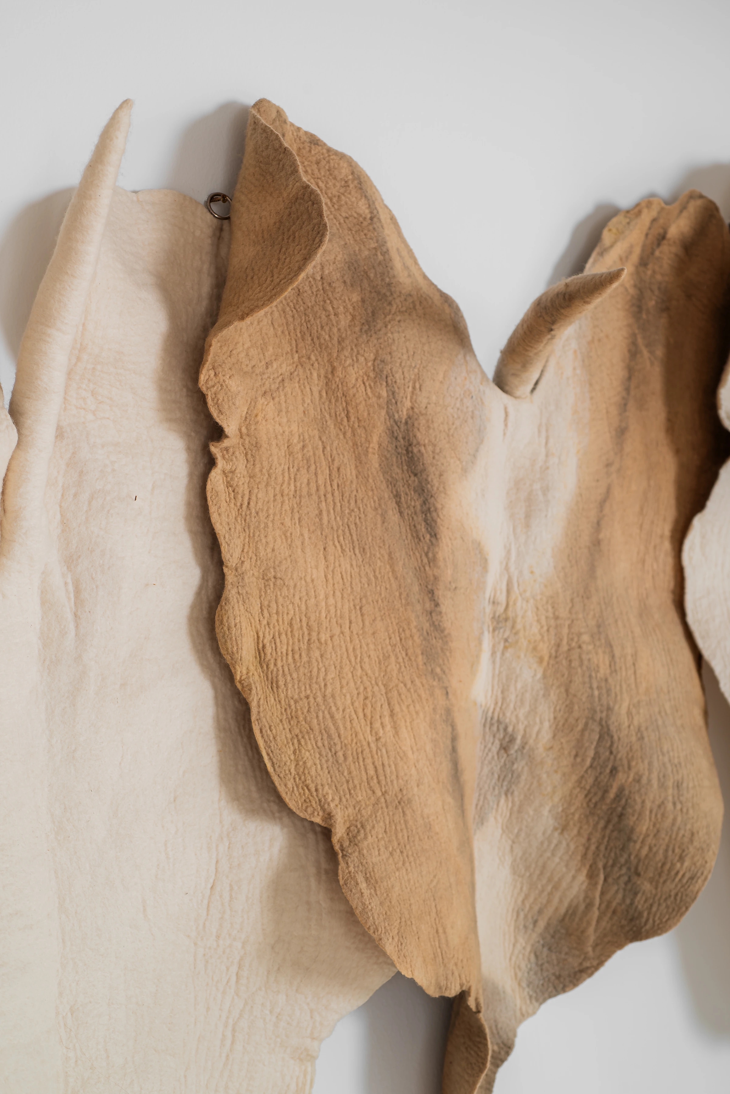 Wall leaves, Inês Schertel — photo 8
