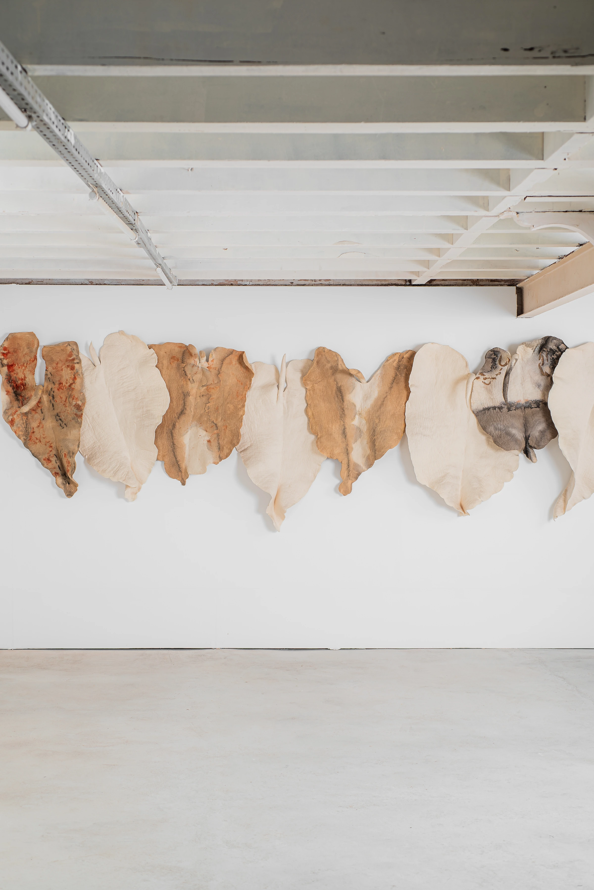 Wall leaves, Inês Schertel — photo 9