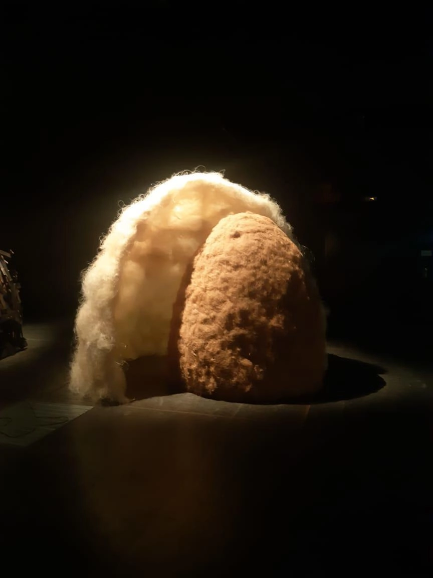 Manimal - Guacho Nest