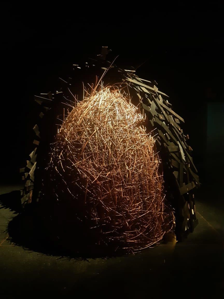 Manimal - João do Pau Nest, Mameluca Studio — photo 2