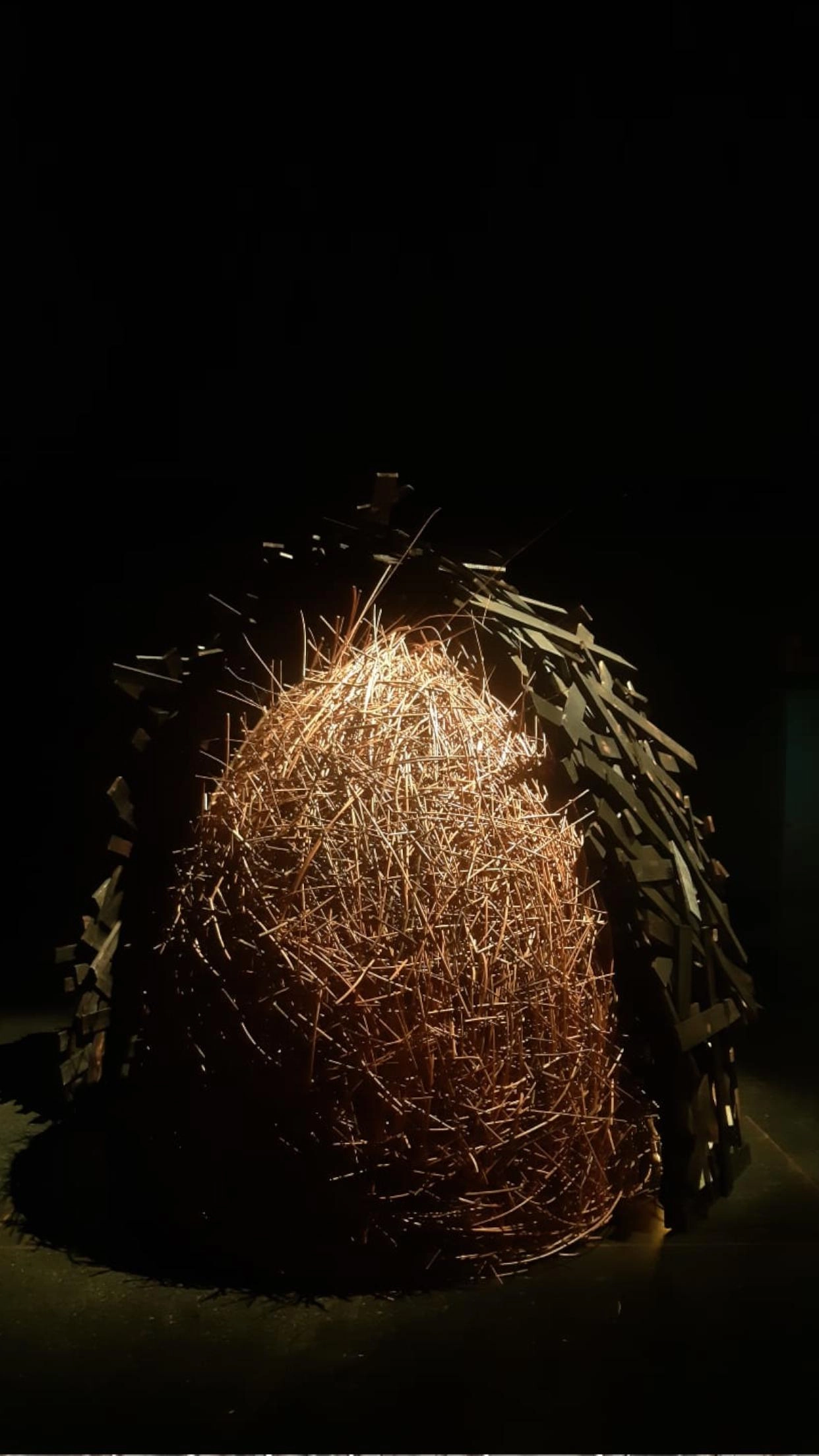 Manimal - João do Pau Nest, Mameluca Studio — photo 3