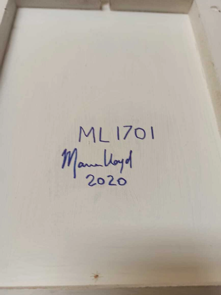 ML1701, Mariana Lloyd — photo 8