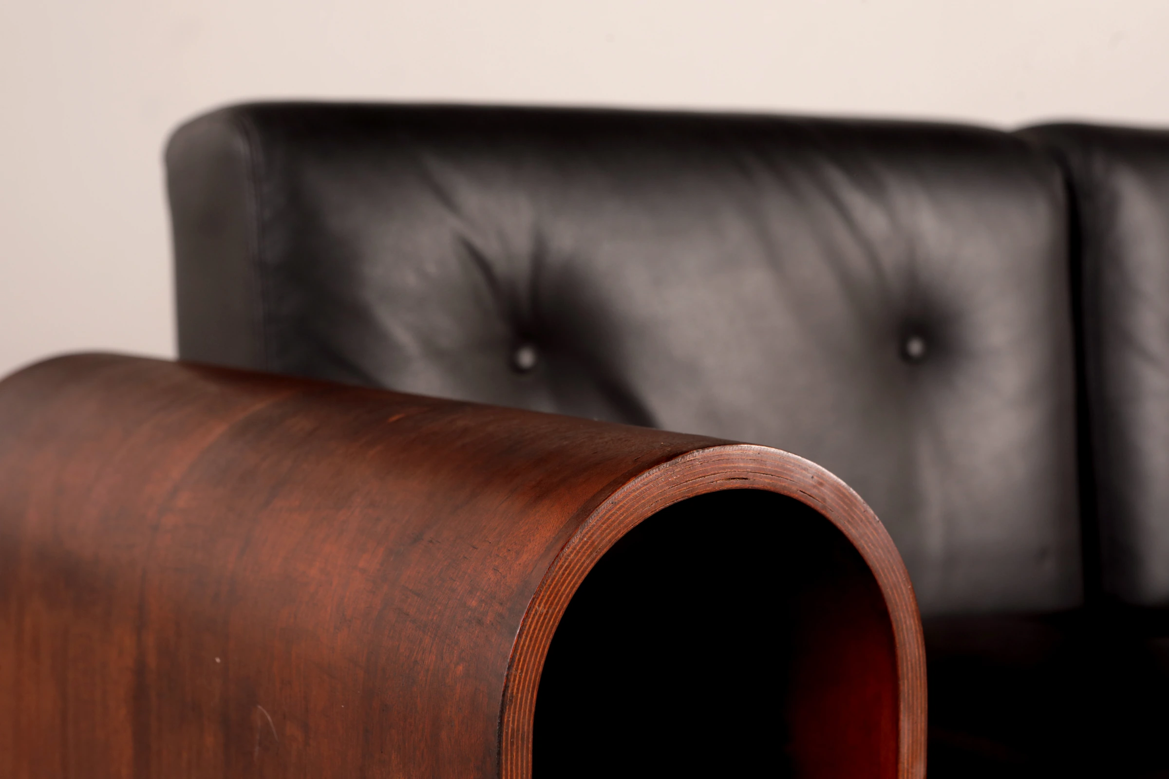 ON sofa, Oscar & Anna Maria Niemeyer — photo 7