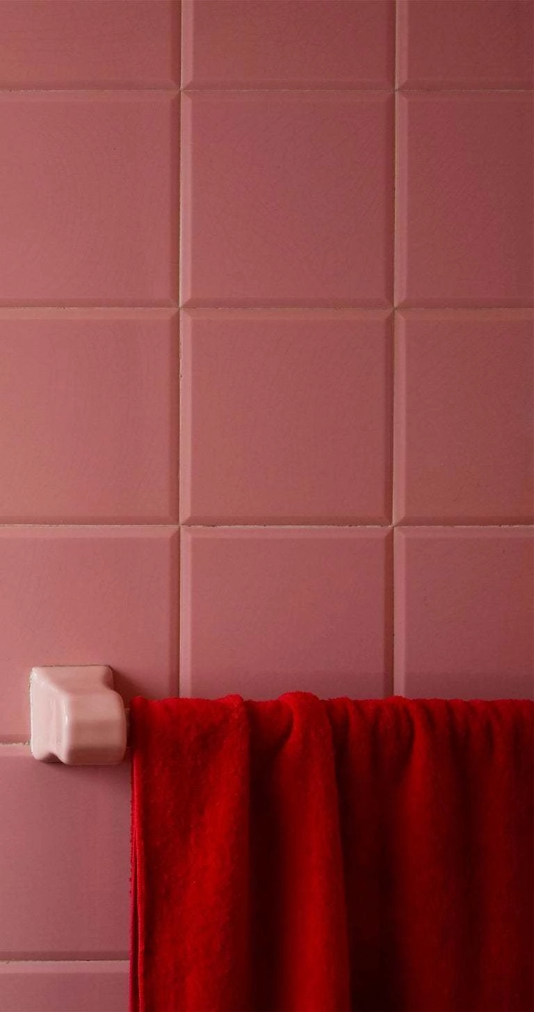 Photography Red and Pink, Roberta Borges — photo 5
