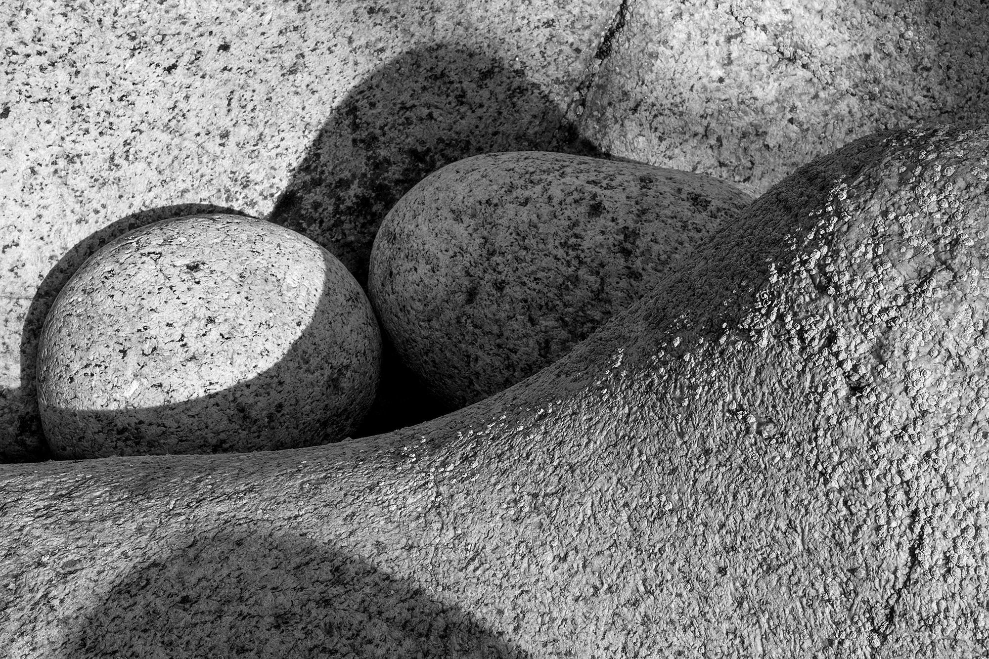 Photography Rolling Stones — Roberta Borges