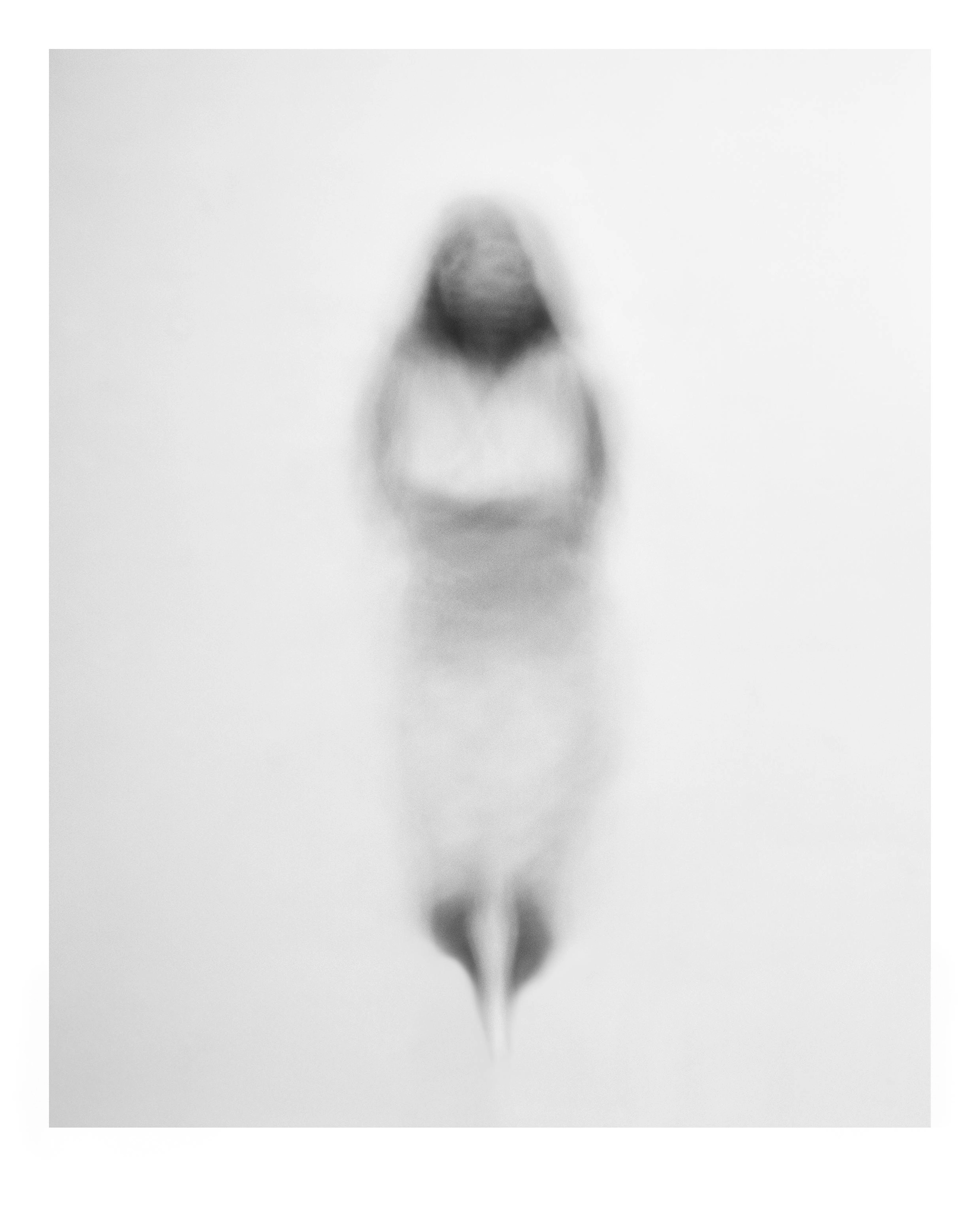 Figurine (Gravitational Spin) — Tom Fecht