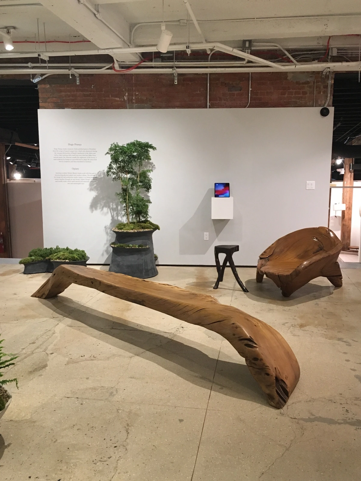 “Orgânicos Design” by Hugo França — Photo 6