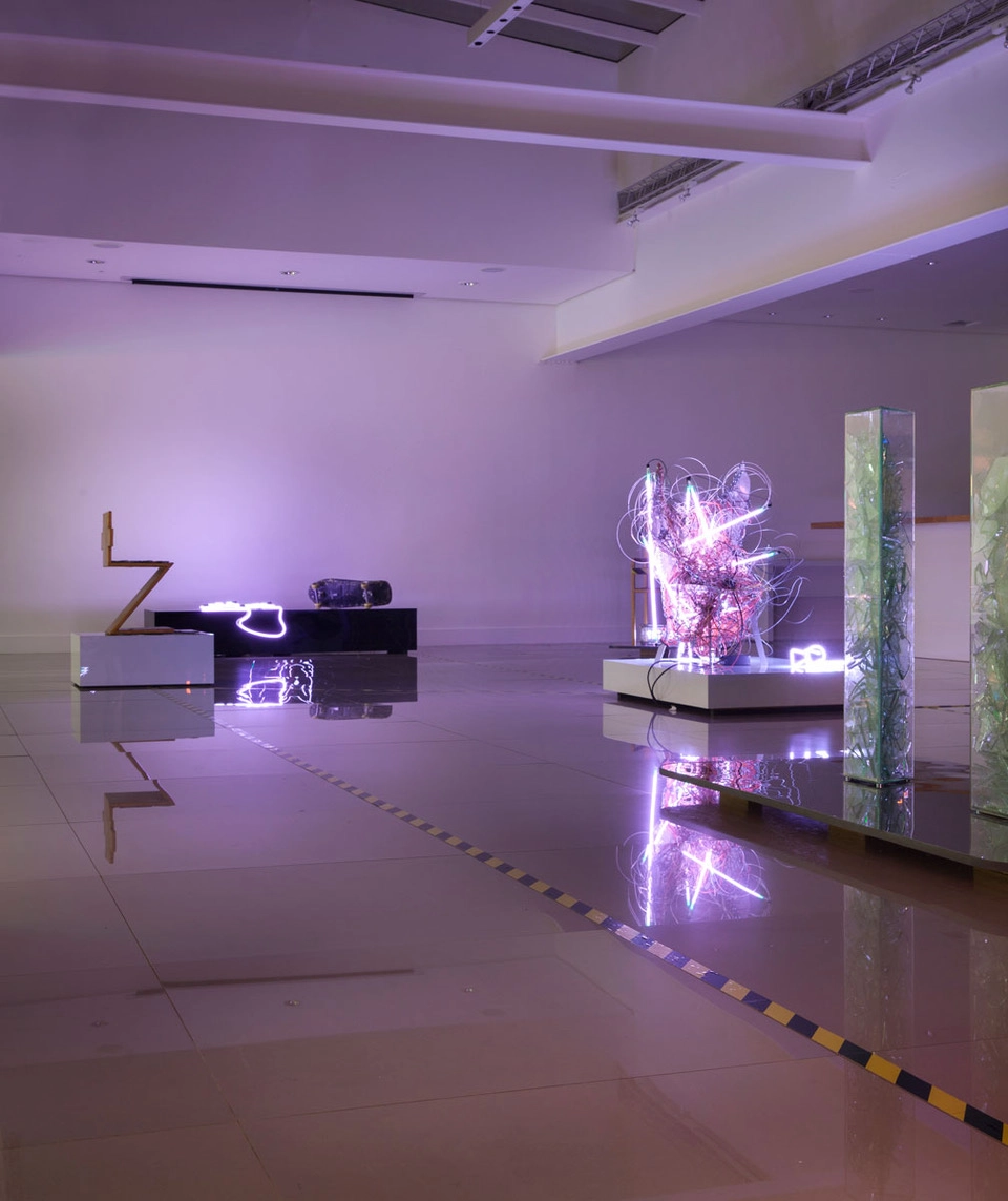 “Spectrum” by Alê Jordão — Photo 10