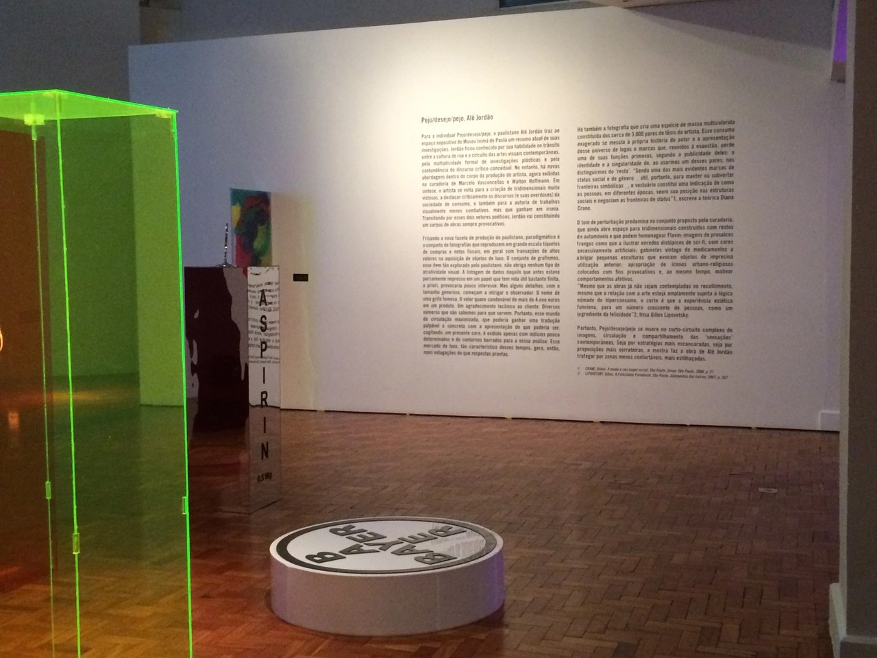 “Pejo/Desejo/Pejo” by Alê Jordão at Museu Inimá de Paula — Photo 11