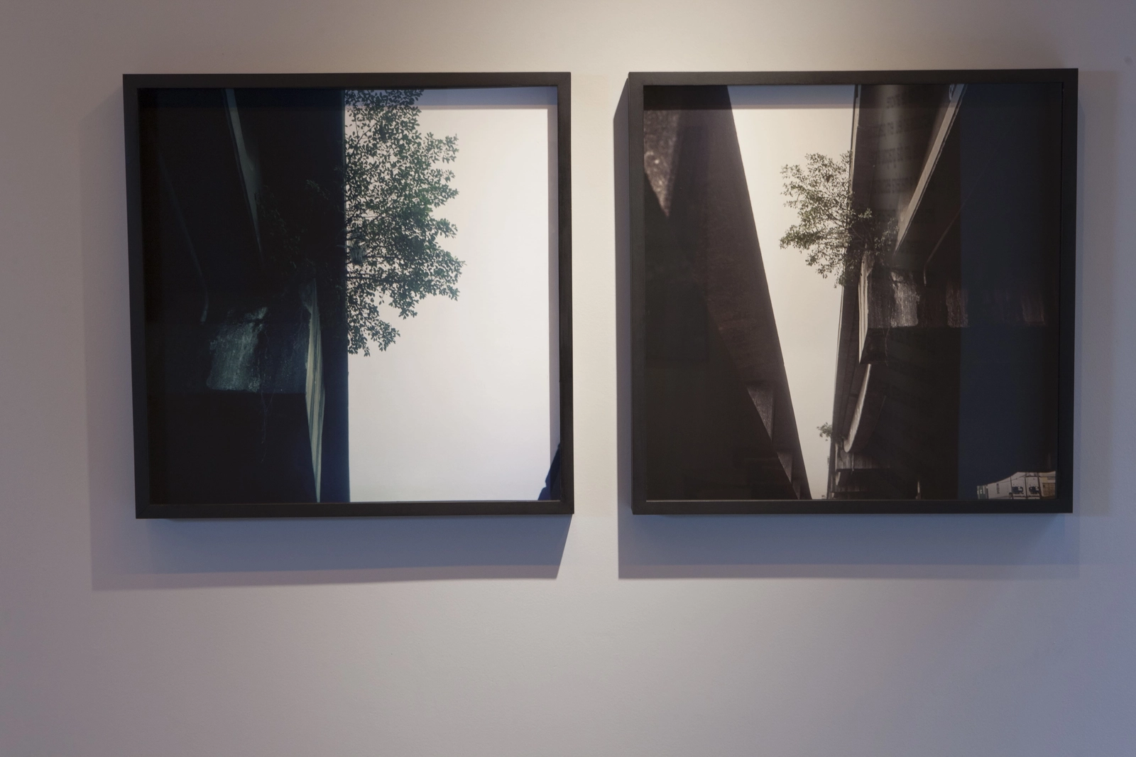 “Vestígios”by Felipe Varanda — Photo 3